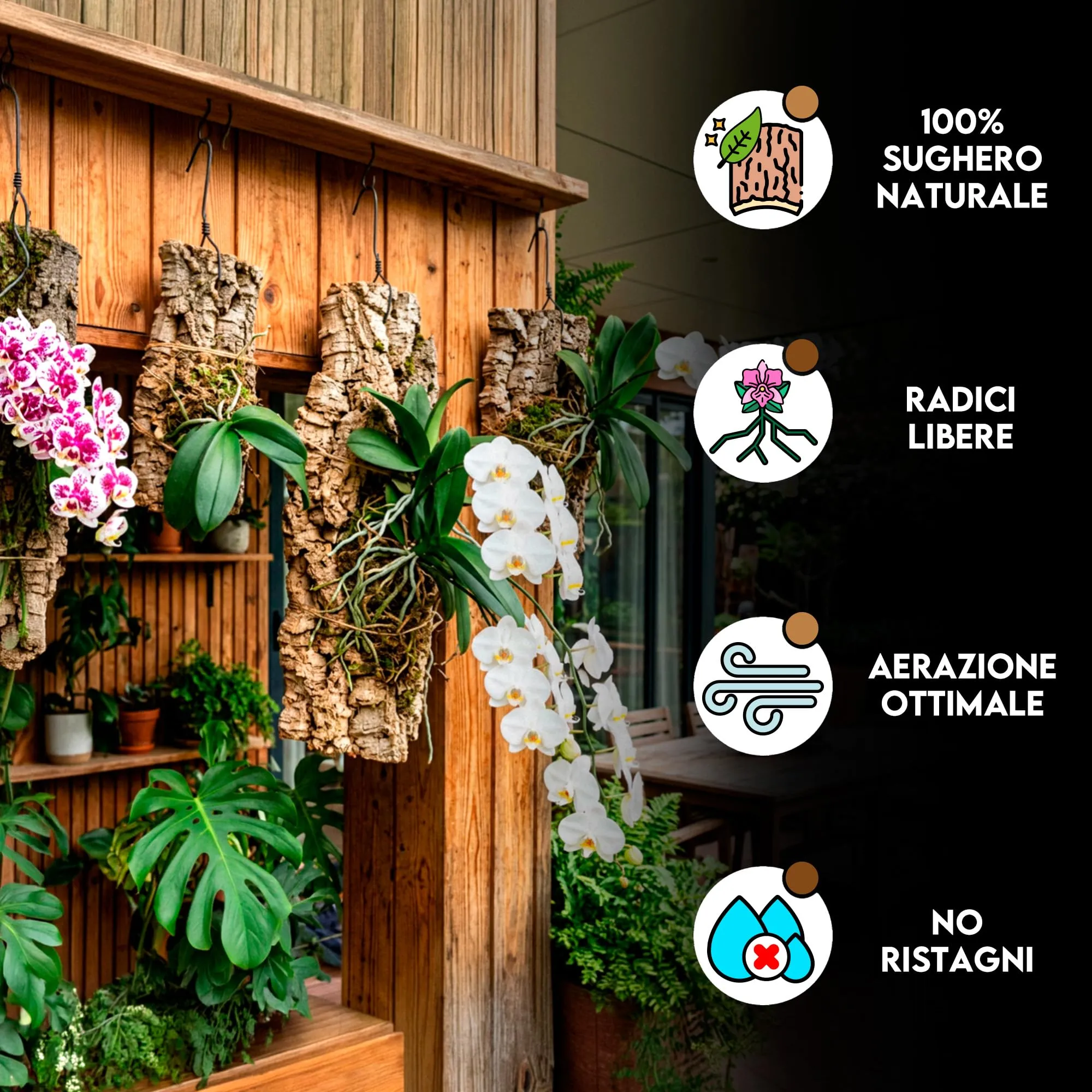 ZOMA Zattera per Orchidee, Sughero per Terrario, Corteccia per Orchidee, Epifite Tillandsia e Felci, Corteccia di Sughero per Presepe (L) - immagine 2
