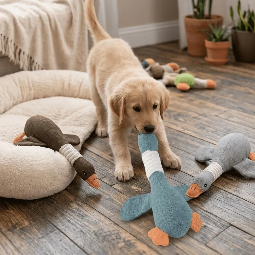 ZUMME Giocattolo da masticare Anatra. 28 * 32cm Peluche per cani, Peluche cigolante, Gioco interattivo per cani, Peluche interattiva da coccolare, per cani di taglia piccola, media e grande (Blu) - immagine 6