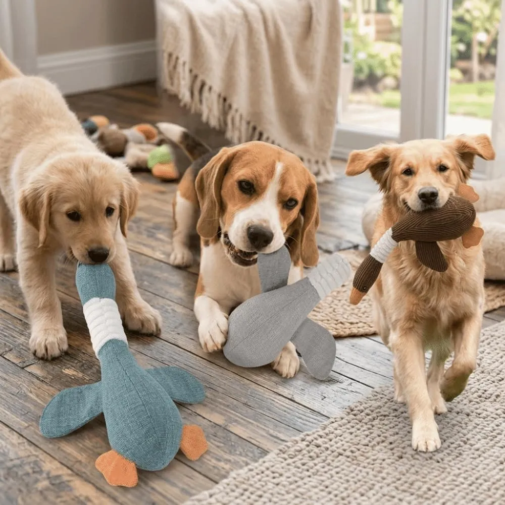 ZUMME Giocattolo da masticare Anatra. 28 * 32cm Peluche per cani, Peluche cigolante, Gioco interattivo per cani, Peluche interattiva da coccolare, per cani di taglia piccola, media e grande (Blu) - immagine 9