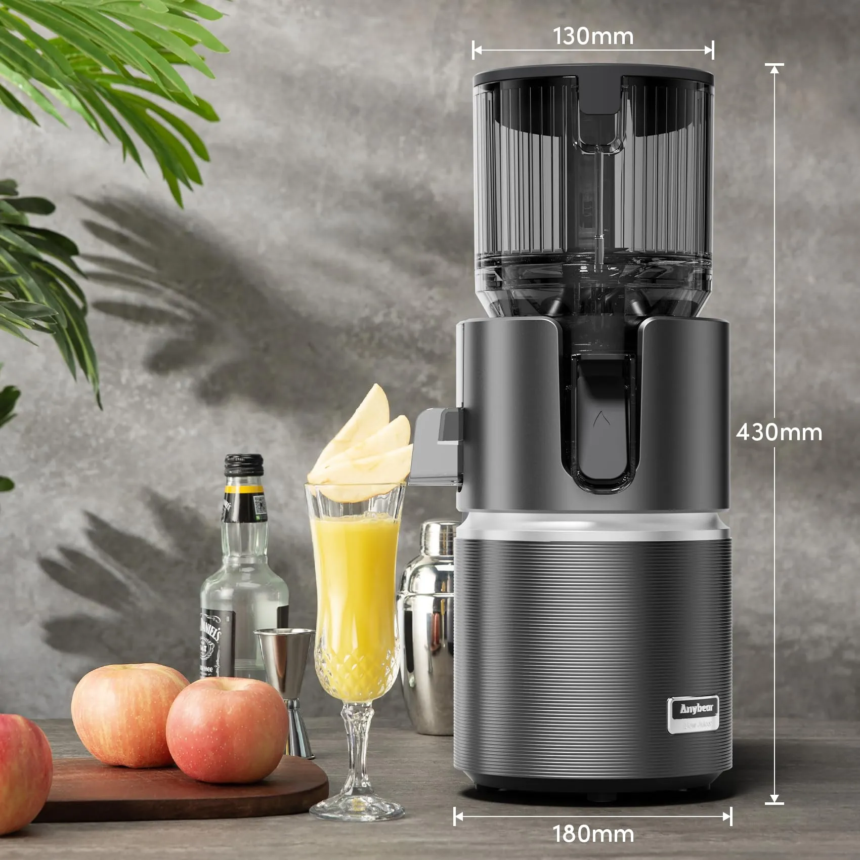Anybear Estrattore a Freddo 124mm | 350W Doppia Tecnologia Spremitura Lenta | Resa Elevata | Tritan Senza BPA | Ricette Incluse (Grigio Scuro) - immagine 8