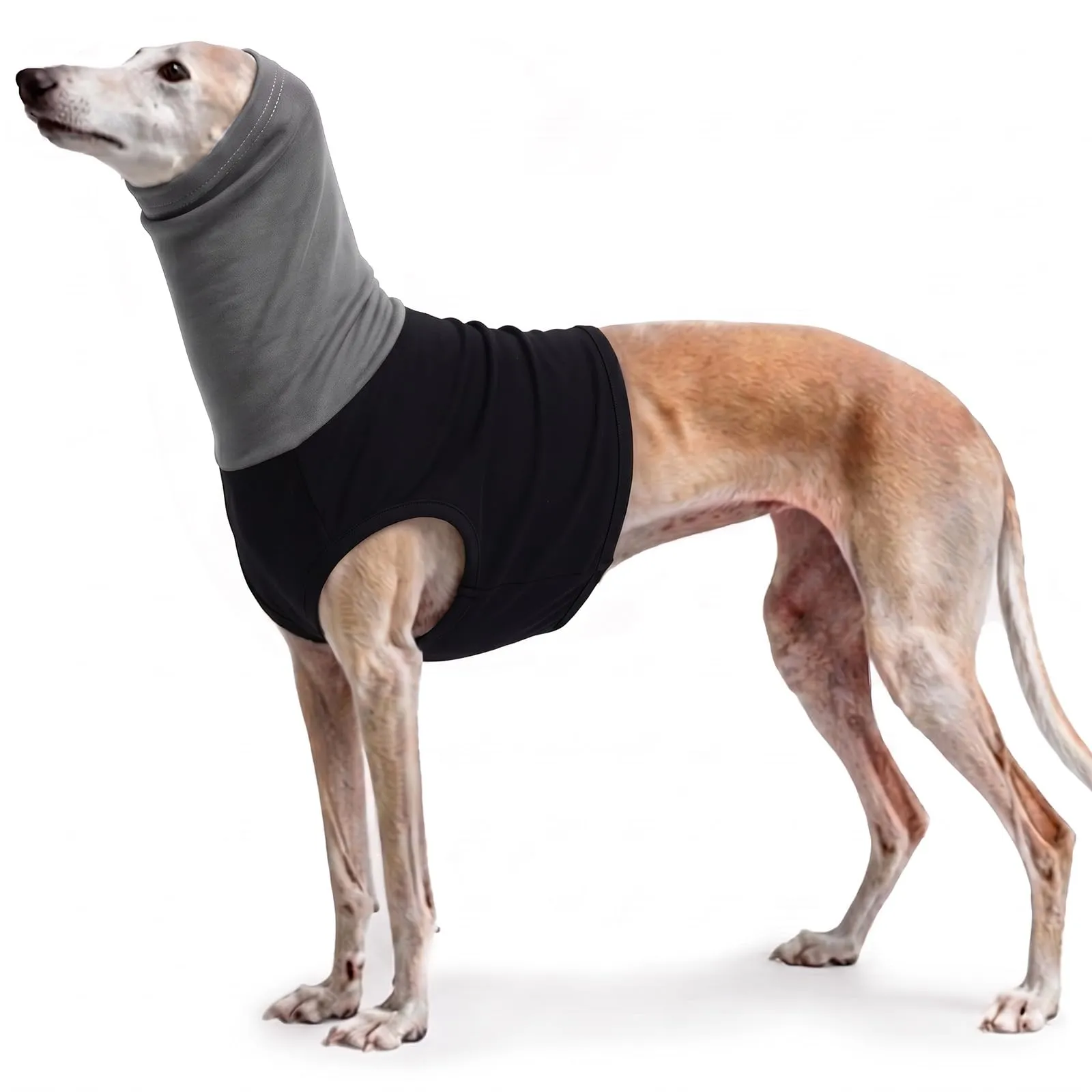 PUMYPOREITY Camicia medica per cani, comoda fasciatura per cani, protezione per la parte superiore del corpo (nero, XL) - immagine 1