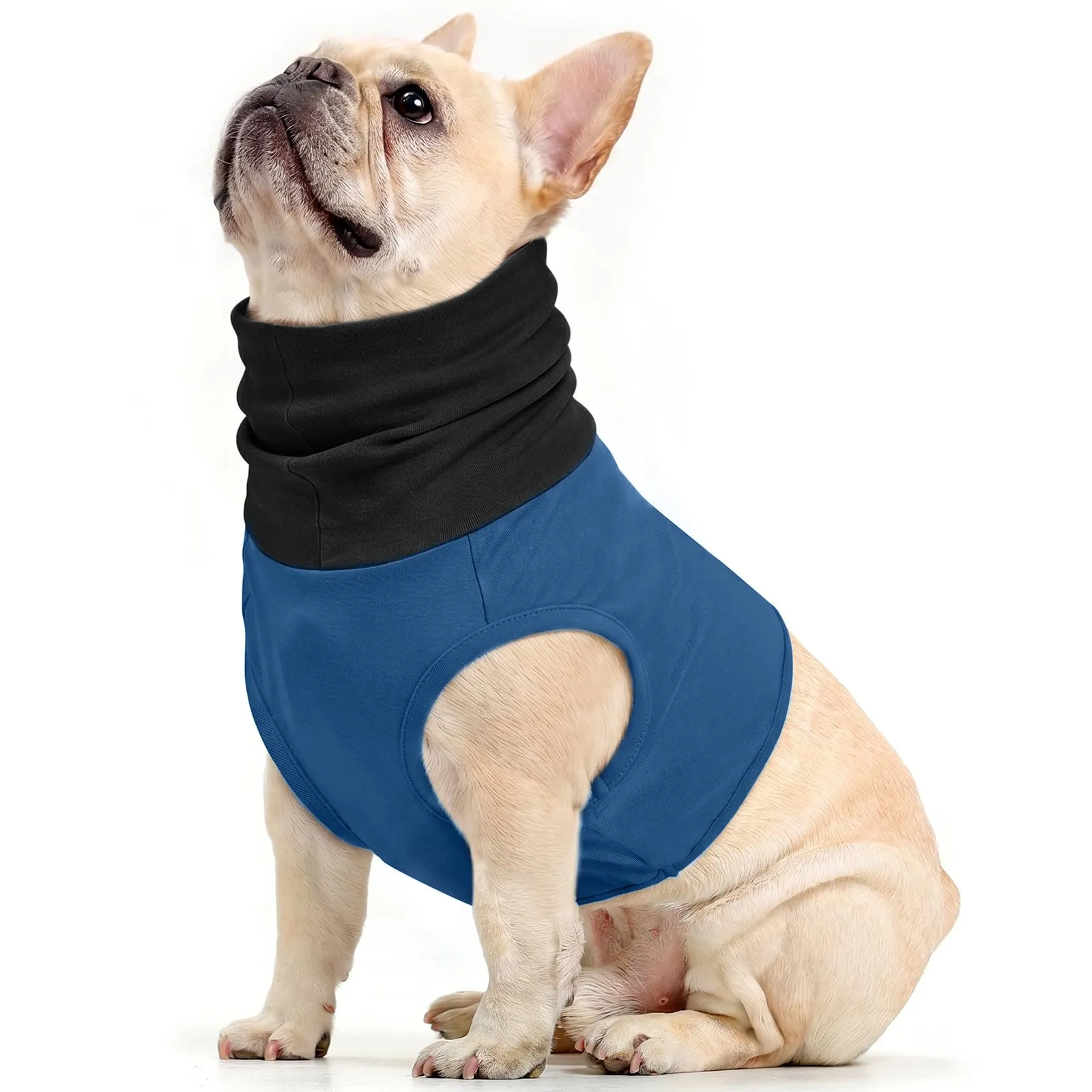 PUMYPOREITY Copertura per ferite al collo per cani, morbida protezione per ferite al collo, traspirante, per cani medici, per coprire il collo, anti-ansia (blu pavone, M) - immagine 1