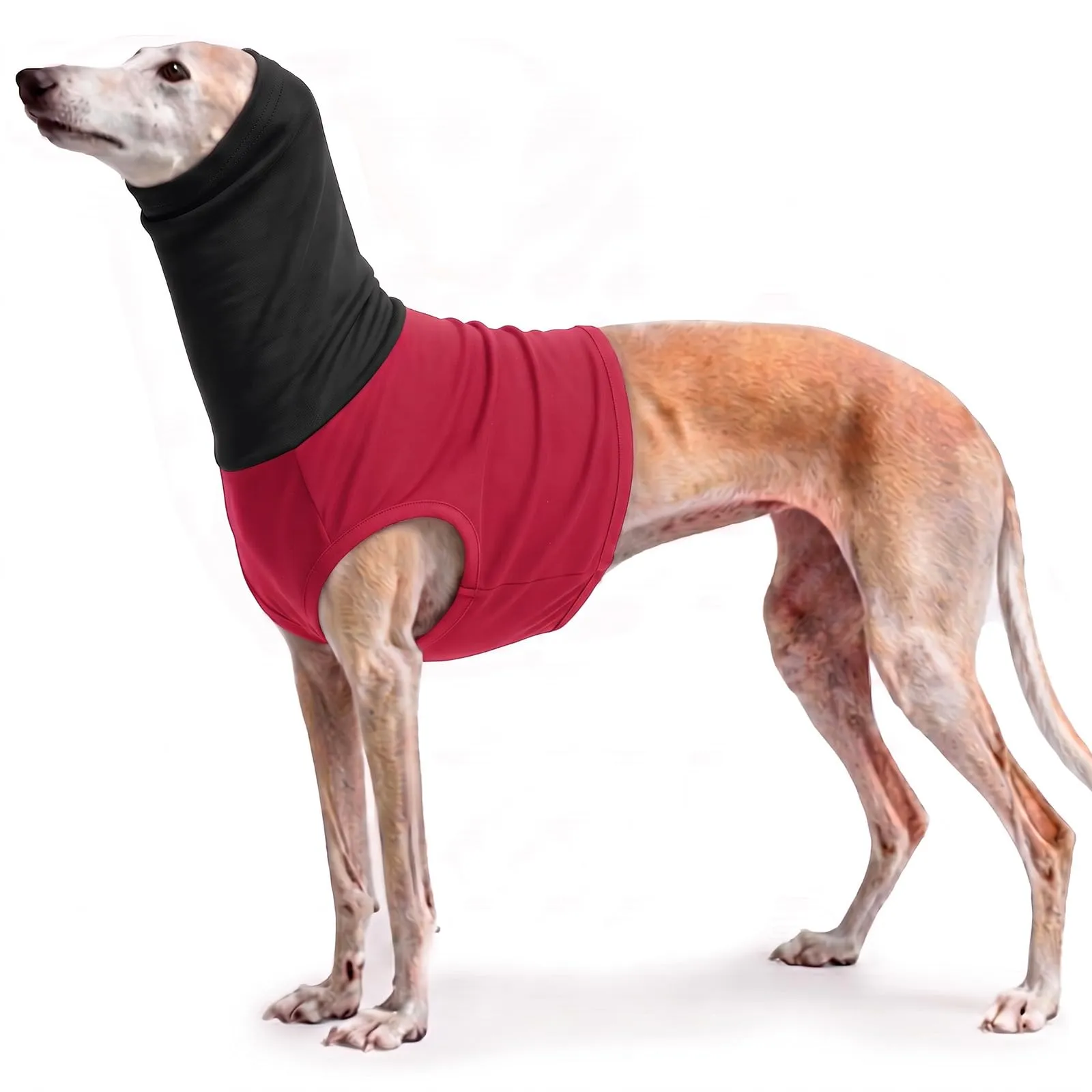PUMYPOREITY Protezione per il collo del cane dopo un operatore, benda chirurgica per ferite al collo (rosso vino, XL) - immagine 1