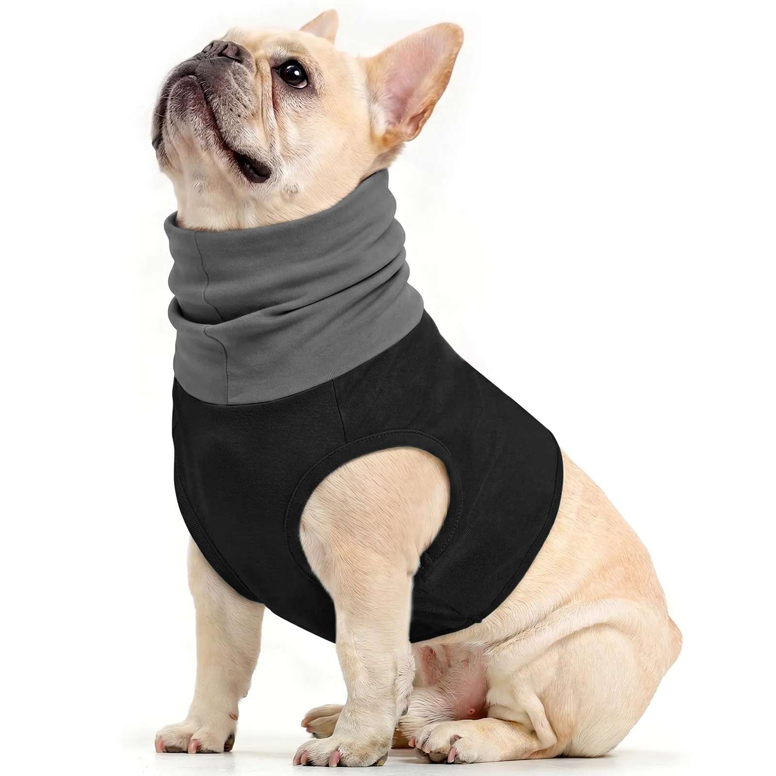 PUMYPOREITY Protezione per il collo del cane dopo operazione, sciarpa tubolare protezione per il collo per un cane, medicazione chirurgica per ferite al collo (nero, L) - immagine 1