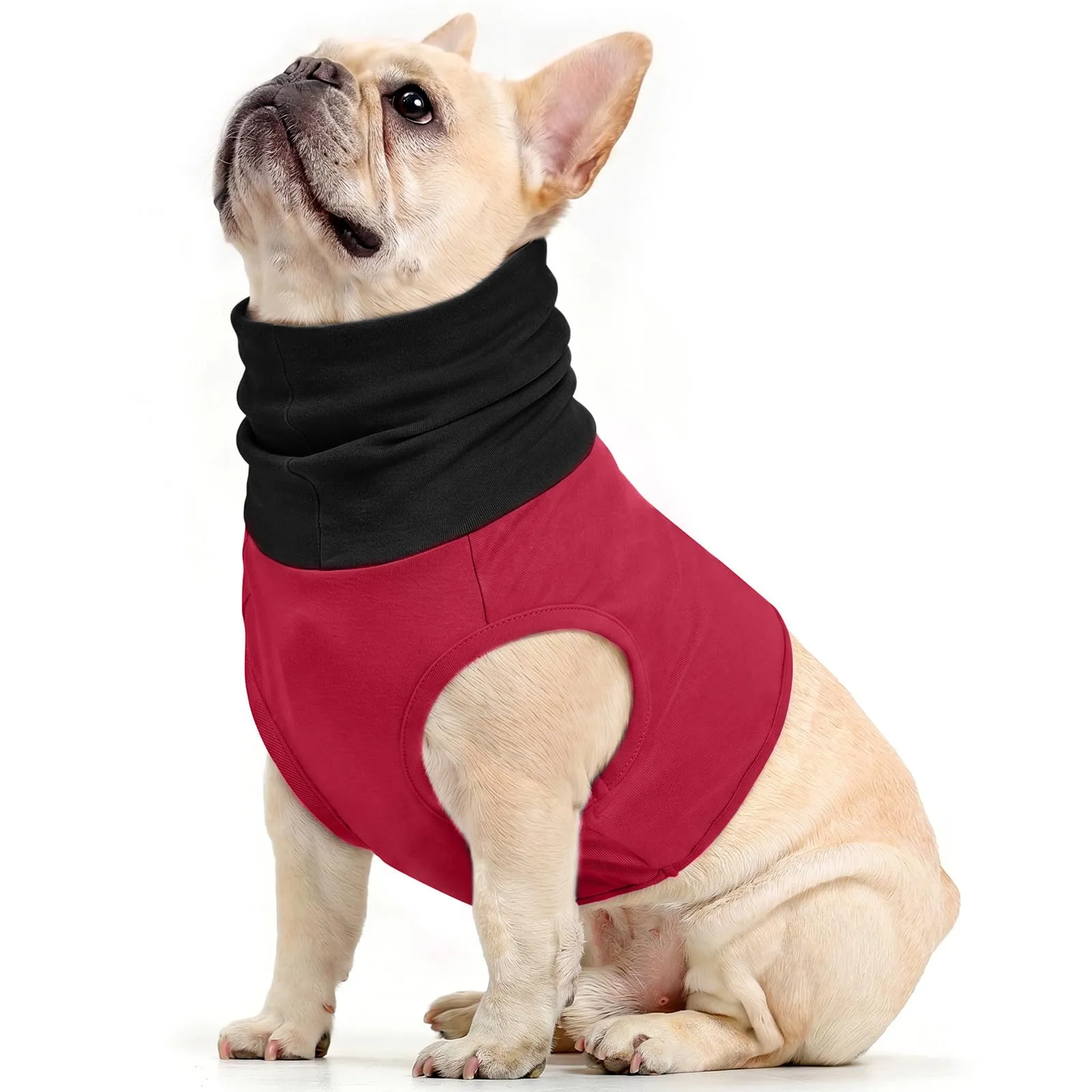 PUMYPOREITY Body per cani dopo il collo, protezione dai graffi del collo, copertura per il collo in caso di punti di pressione (rosso vino, M) - immagine 1