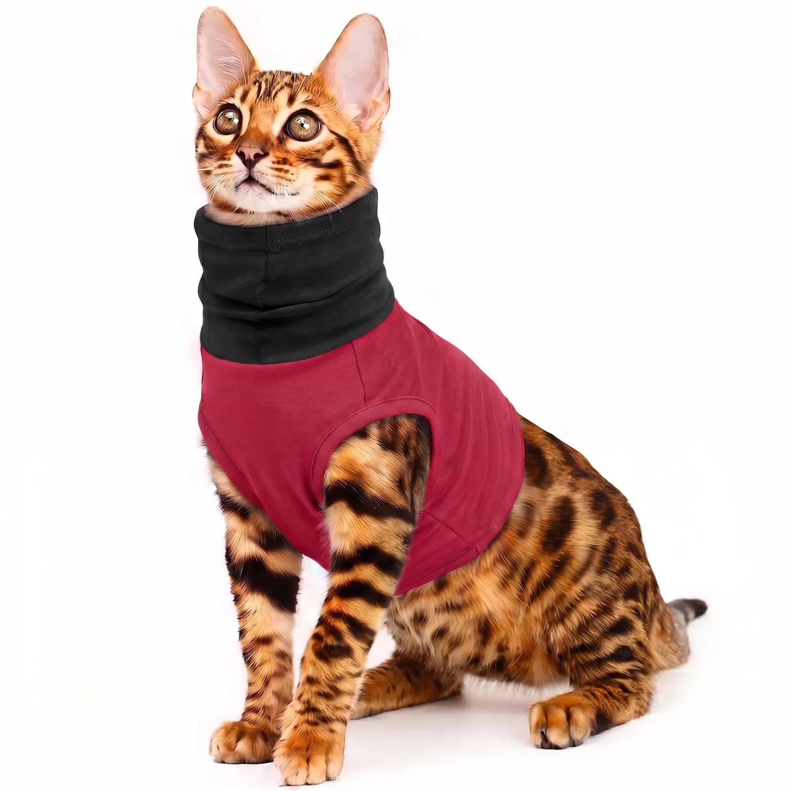 PUMYPOREITY Protezione per il collo per gatti, tuta chirurgica con collo per gatto, colore rosso vino, XS - immagine 1