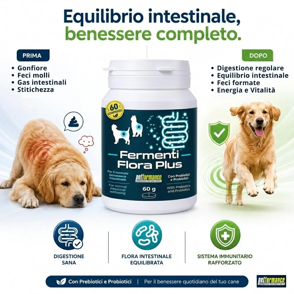 Probiotici per Cani e Gatti FERMENTIFLORA PLUS, Fermenti Lattici Cane, Probiotici Cane Prurito e Funzione Digestiva, Fermenti Latitici Gatto Intestinali e Allergie- 60cps - immagine 4