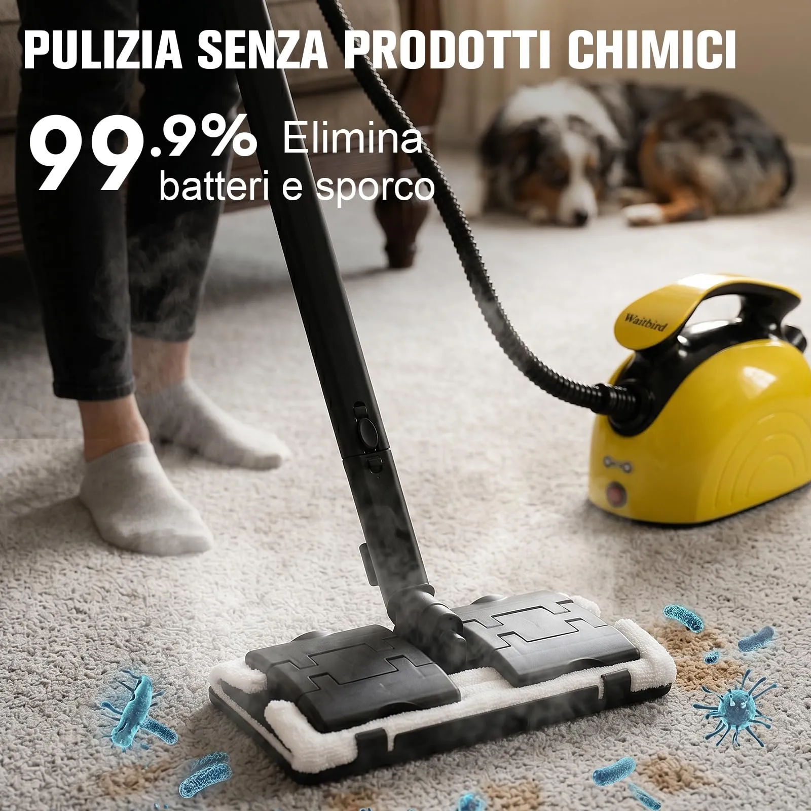 Waitbird Pulitore a vapore, con 21 accessori, vapore caldo a 120 °C, adatto per pavimenti, fughe tra piastrelle, piastrelle e pulizia auto. - immagine 8