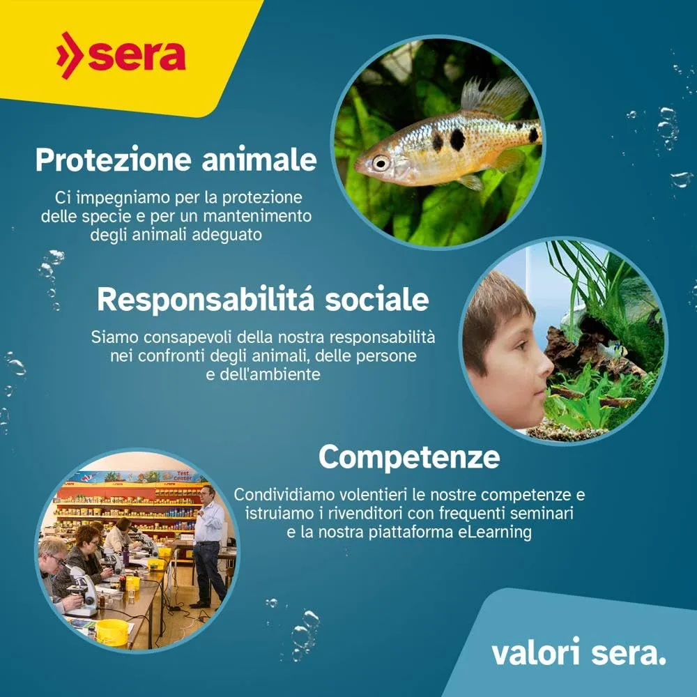 sera Turtle Adult Carnivore Duo Pellets 3,8L (1,15kg) | Mangime tartarughe acqua Adult | Cibo tartarughe d'acqua premium per tartaruga carnivora adulta | Alto contenuto di pesce | Alimento completo - immagine 4