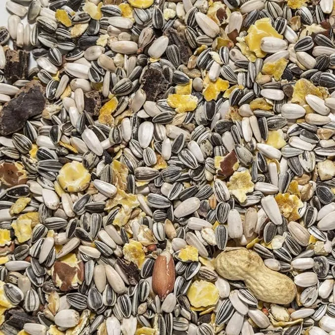 Il Contadino - Antichi Becchimi | MISCUGLIO per PAPPAGALLI Grandi | Formula Ricca di Semi Selezionati Adatta per Tutto L'Anno, No OGM, 100% Vegetale, Assenza di scarti. qualità Superiore (15 kg) - immagine 1