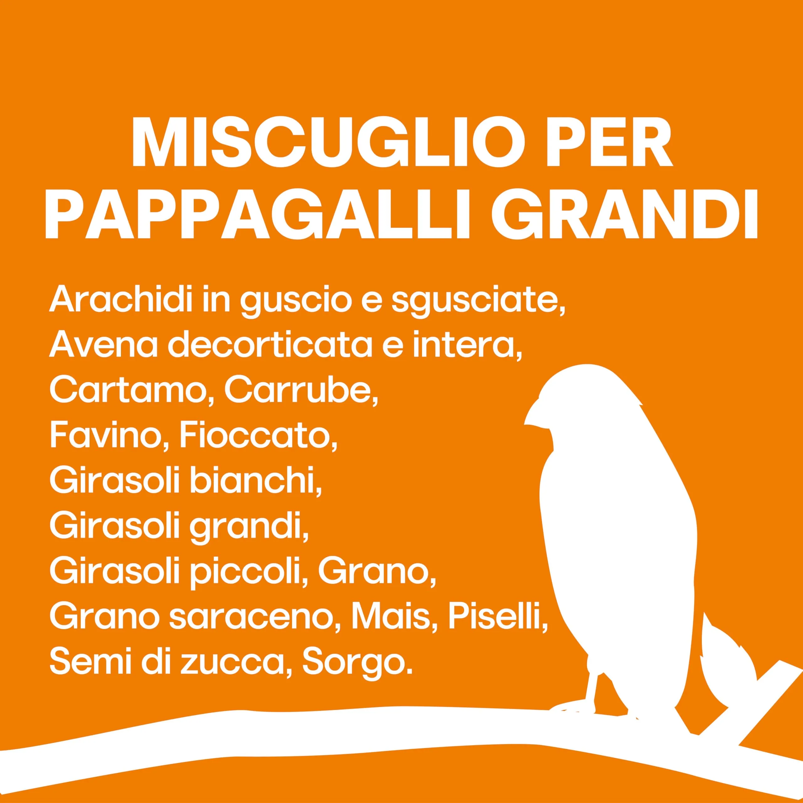 Il Contadino - Antichi Becchimi | MISCUGLIO per PAPPAGALLI Grandi | Formula Ricca di Semi Selezionati Adatta per Tutto L'Anno, No OGM, 100% Vegetale, Assenza di scarti. qualità Superiore (15 kg) - immagine 4
