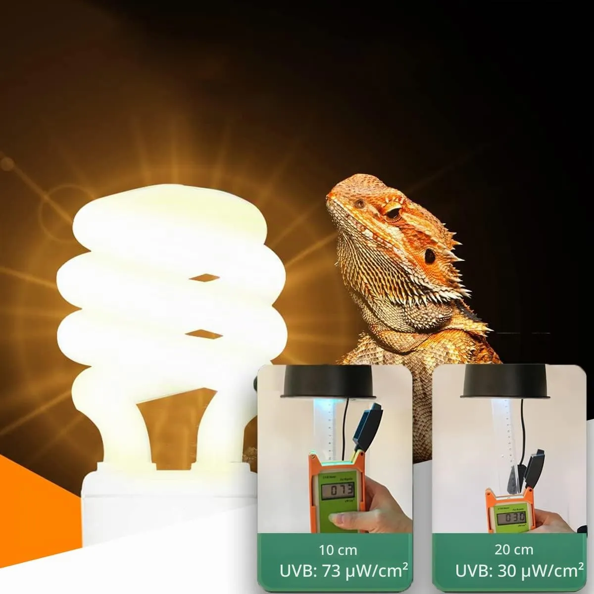 Lampadina per rettili UVB Lampada tartaruga Lampadine fluorescenti compatte a risparmio energetico per anfibi della foresta pluviale tropicale Pet Acquario Pesce Lucertola Serpente (UVB5.0 13W) - immagine 4