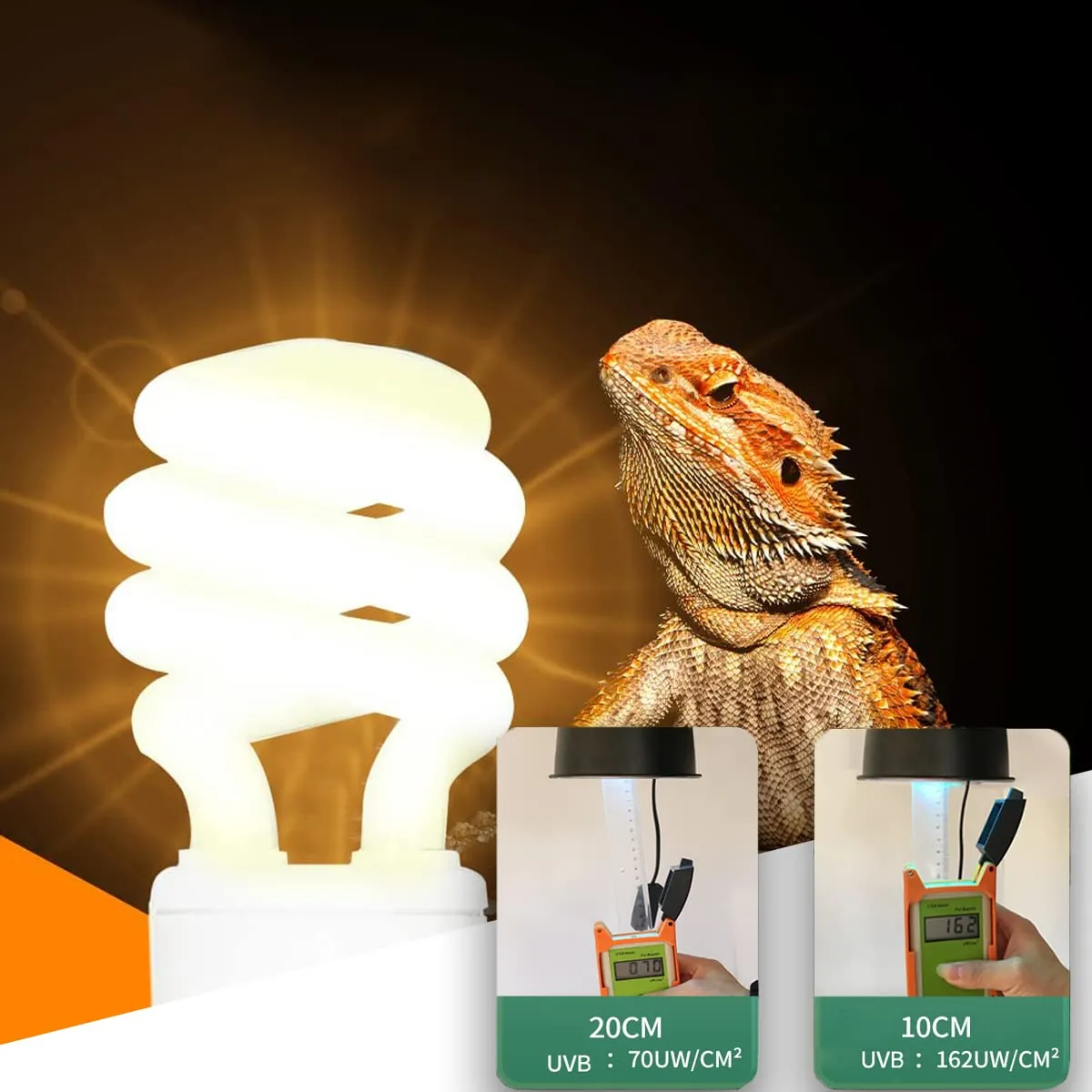 QeeHeng UVB Reptile Light 10.0, Lampadine Tartaruga Lampada da Terrario Compatta a Risparmio Energetico per Rettili del Deserto Serpente/Lucertola/Insetto/Tubo a Spirale Leopardo (UVB10.0 13W) - immagine 4