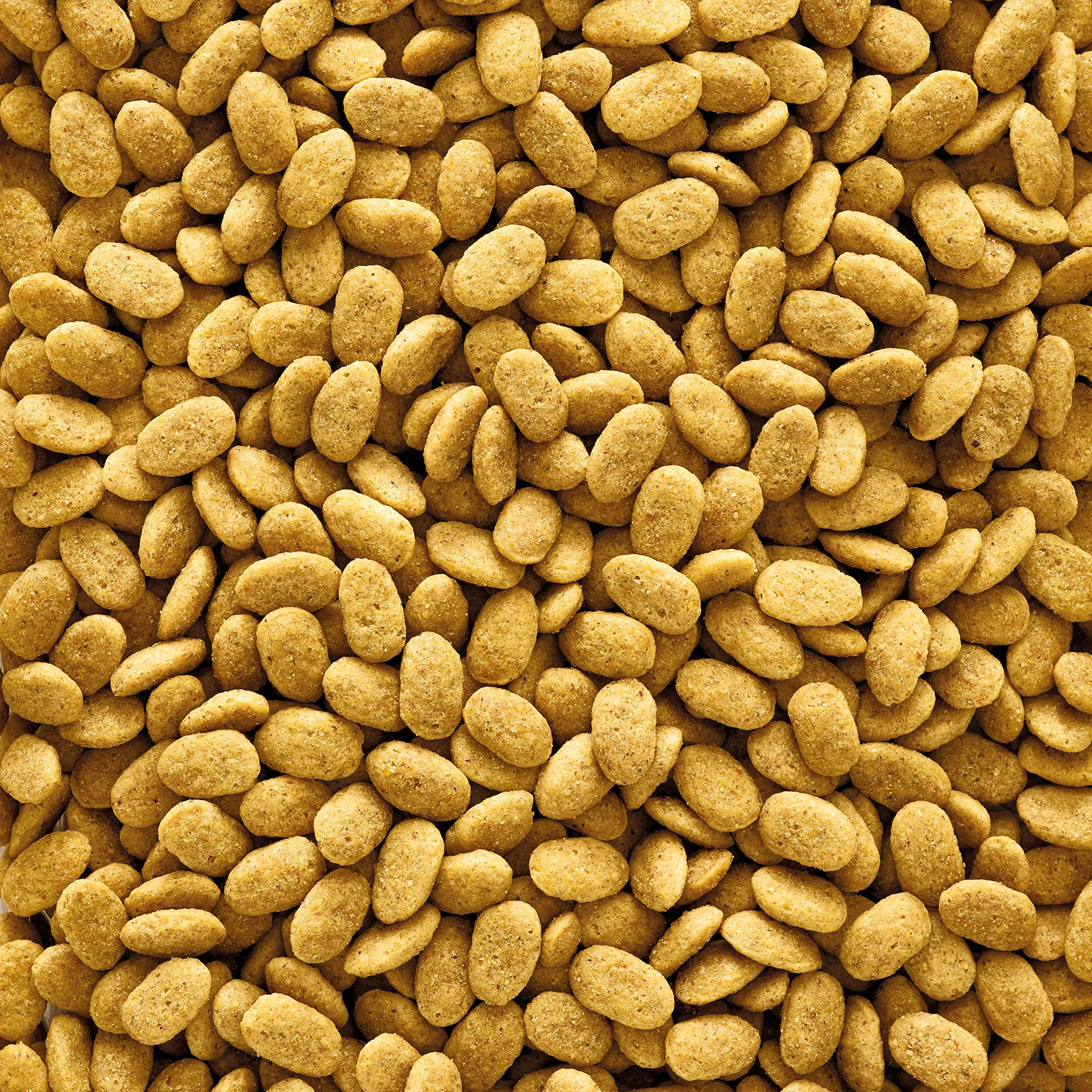 VERSELE-LAGA - NutriBird P15 Original - Pellet estrusi - Alimento di mantenimento per pappagalli - Monocolore - 10kg - immagine 2
