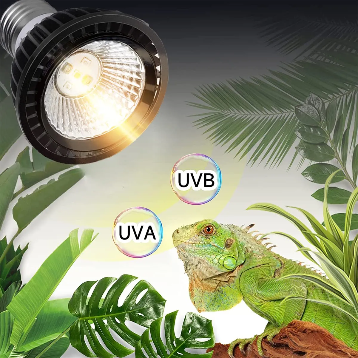 QeeHeng Lampadina Rettili 15.0 UVB UVA E27 - per Foresta Pluviale, Tartarughe, Anfibi e Serpenti - Lampada a Risparmio Energetico (UVA + UVB 15.0) - immagine 2