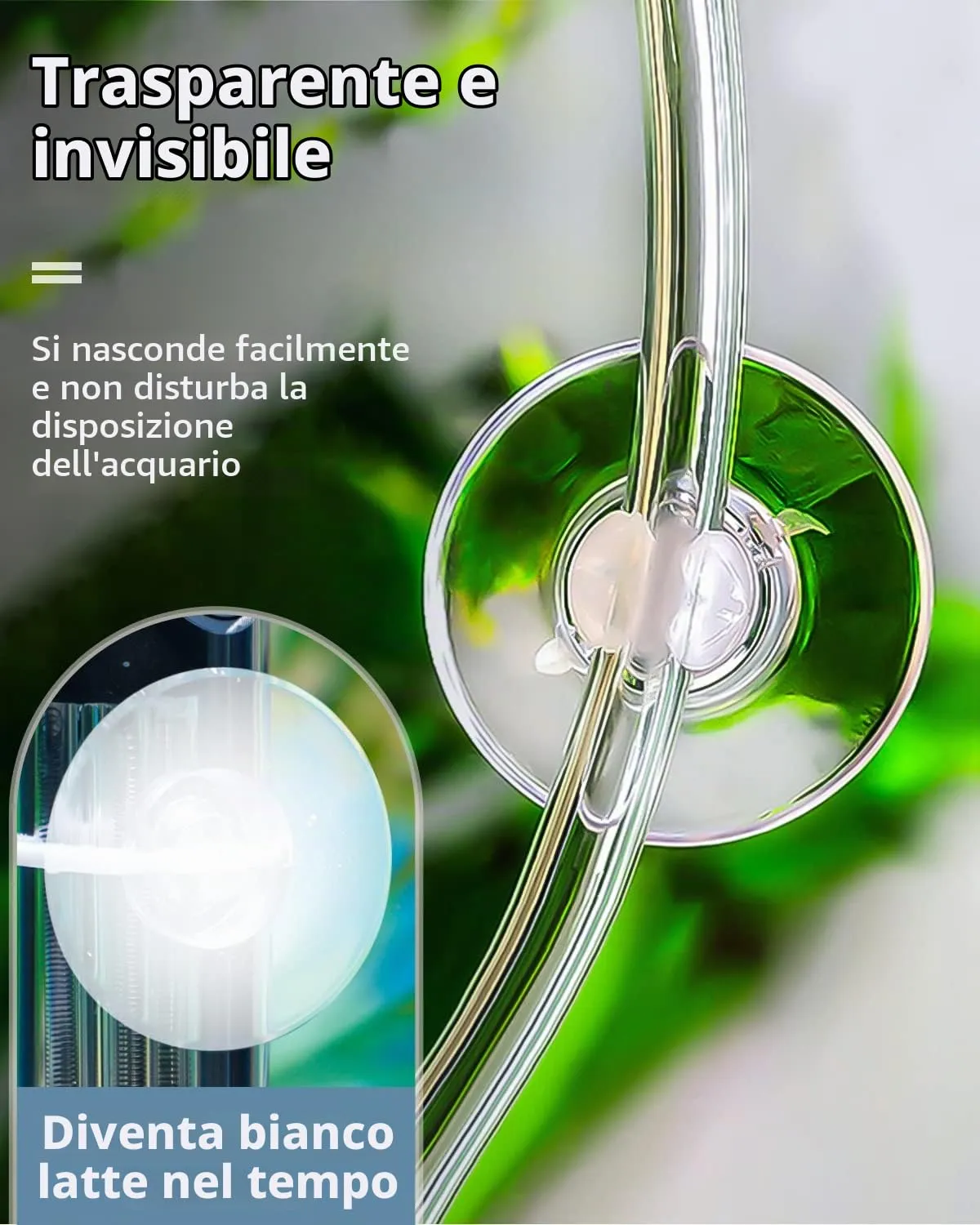 Pawfly Confezione da 20 Ventose per acquari con Clip e Fascette Regolabili Strumento per acquari per Legare Decorazioni di Muschio per Tubi d'Aria, nidi di gamberetti e amache per rettili - immagine 4