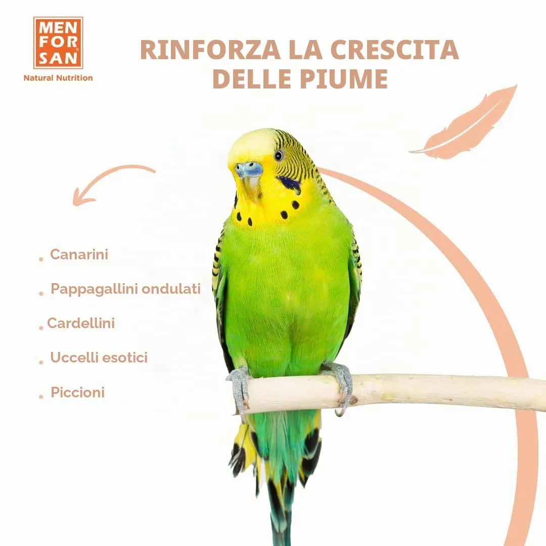 MENFORSAN Mangime complementare per uccelli in muta | 30 ml - immagine 3