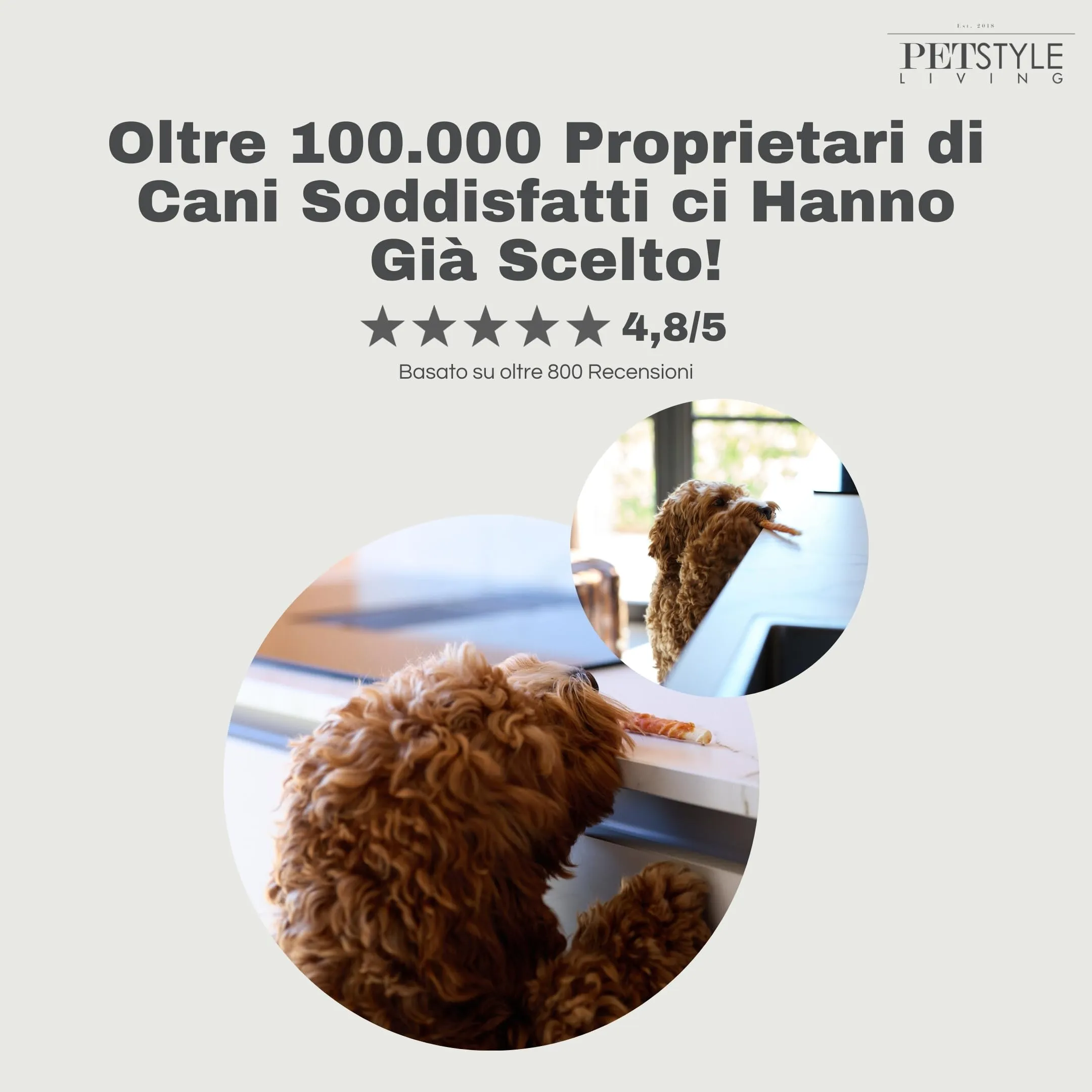 Petstyle Living Bastoncini da Masticare con Polo - Snack per Cani - 12,5cm - 30 Pezzi - immagine 8