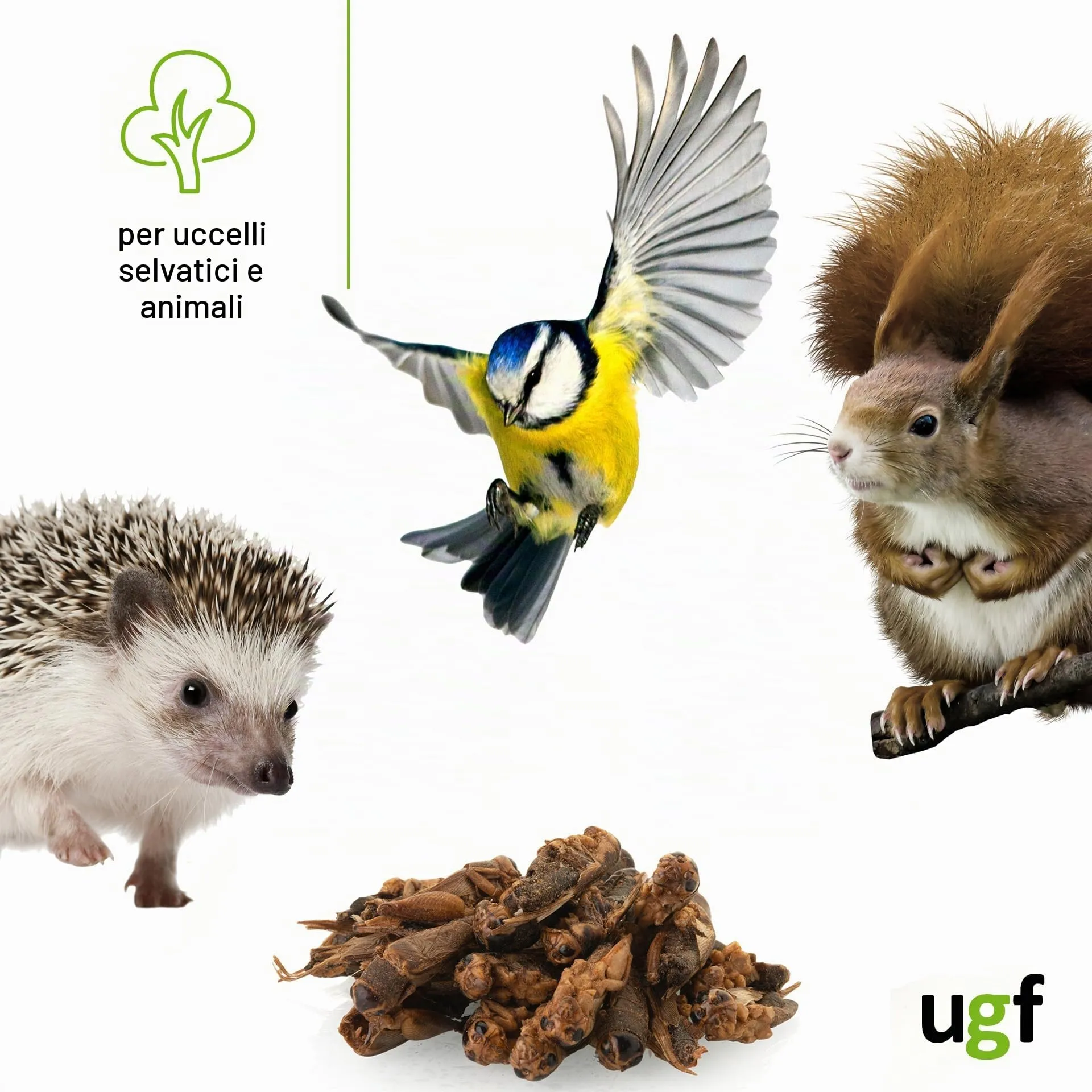 UGF - Grilli essiccati - 80 g in un secchio da 500 ml, Insetti grilli, Cibo per uccelli selvatici (tutto l'anno), Cibo per tartarughe, ricci, lucertole, pesci - immagine 3