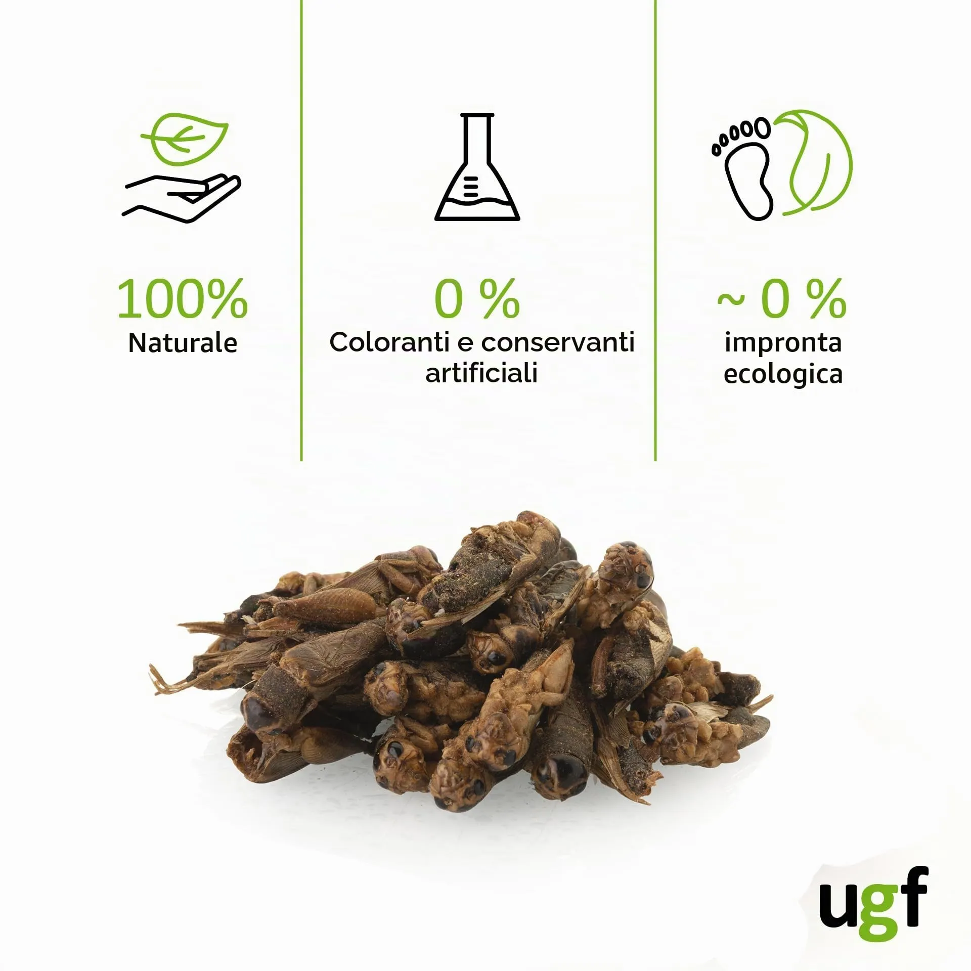 UGF - Grilli essiccati - 80 g in un secchio da 500 ml, Insetti grilli, Cibo per uccelli selvatici (tutto l'anno), Cibo per tartarughe, ricci, lucertole, pesci - immagine 5