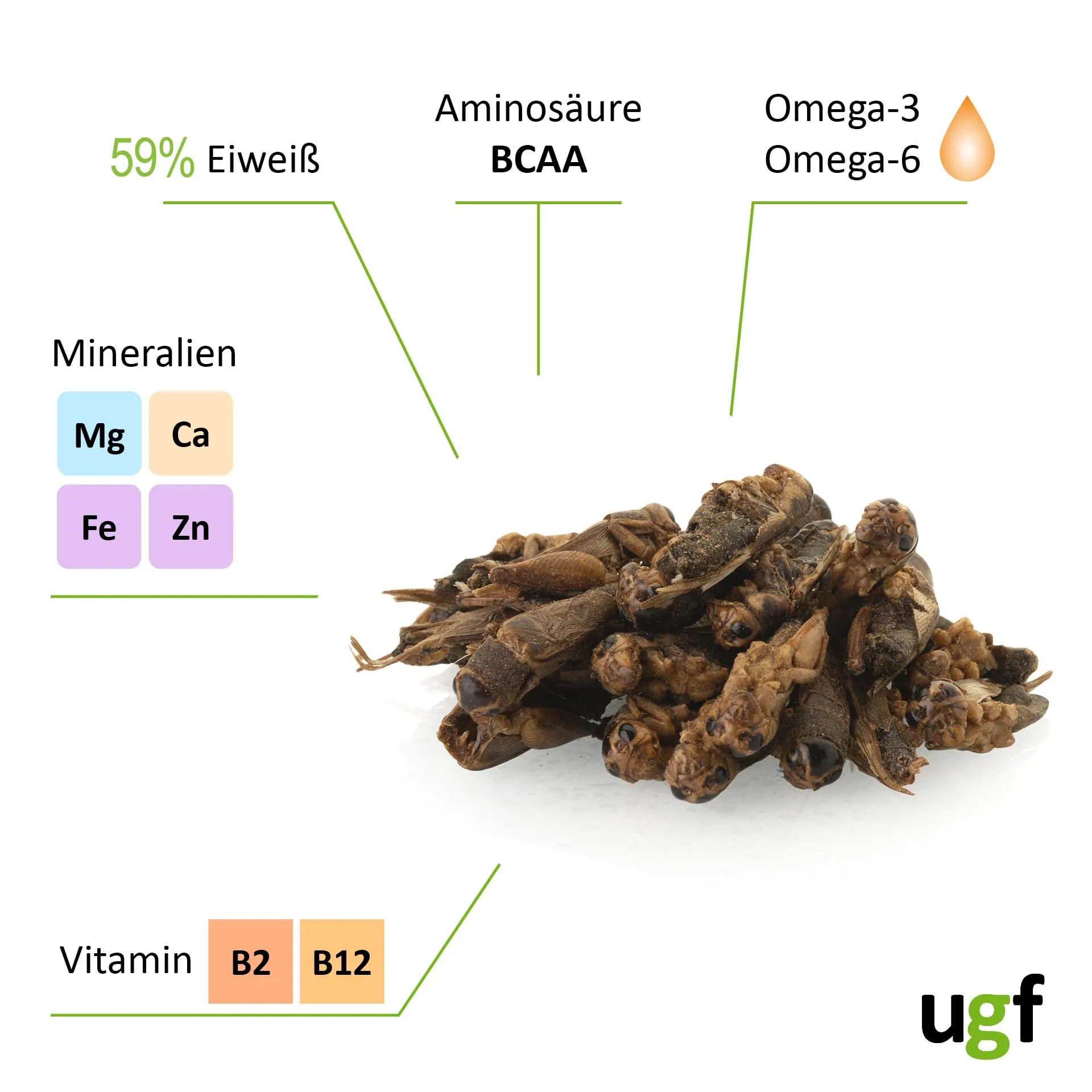 UGF - Grilli essiccati - 80 g in un secchio da 500 ml, Insetti grilli, Cibo per uccelli selvatici (tutto l'anno), Cibo per tartarughe, ricci, lucertole, pesci - immagine 6