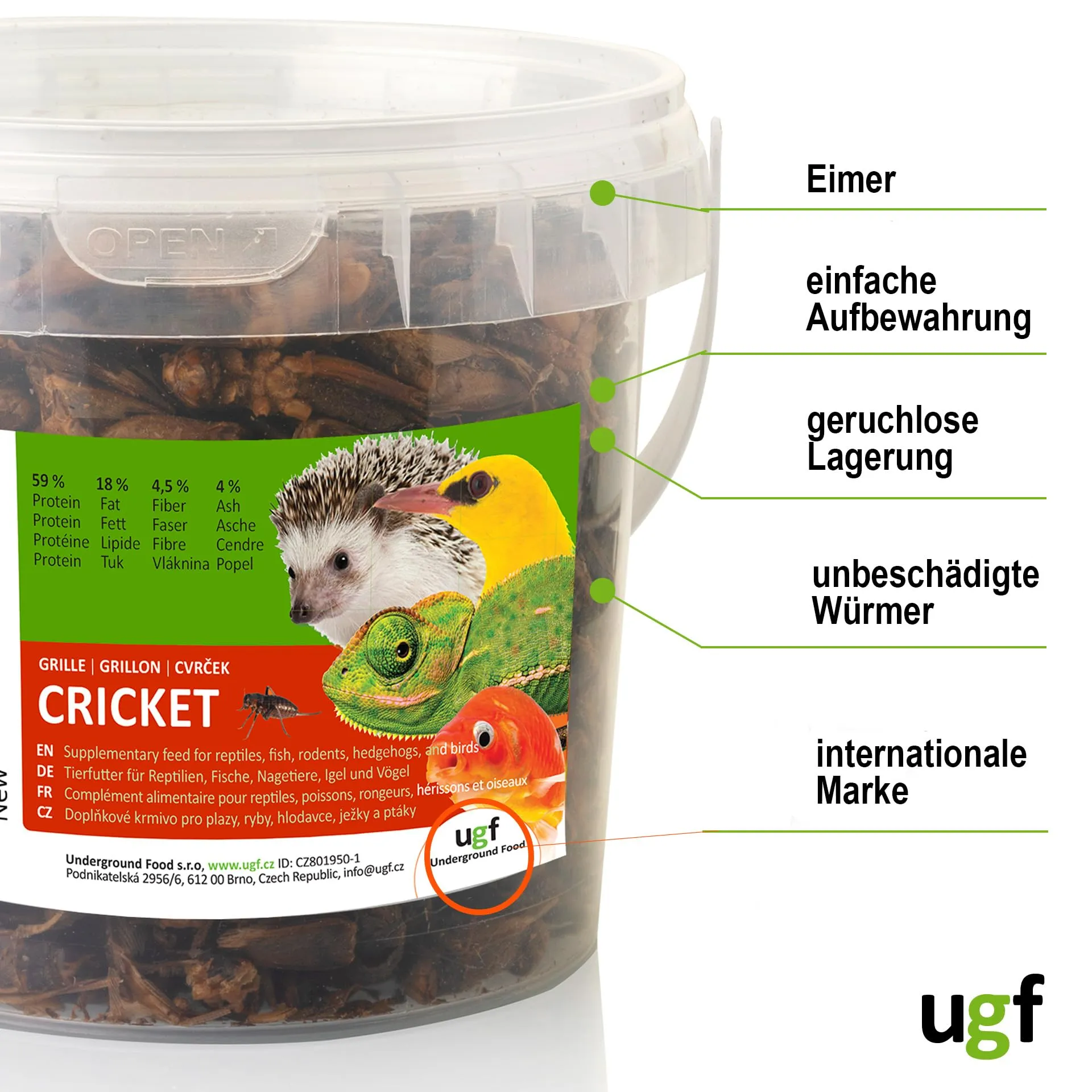 UGF - Grilli essiccati - 80 g in un secchio da 500 ml, Insetti grilli, Cibo per uccelli selvatici (tutto l'anno), Cibo per tartarughe, ricci, lucertole, pesci - immagine 7