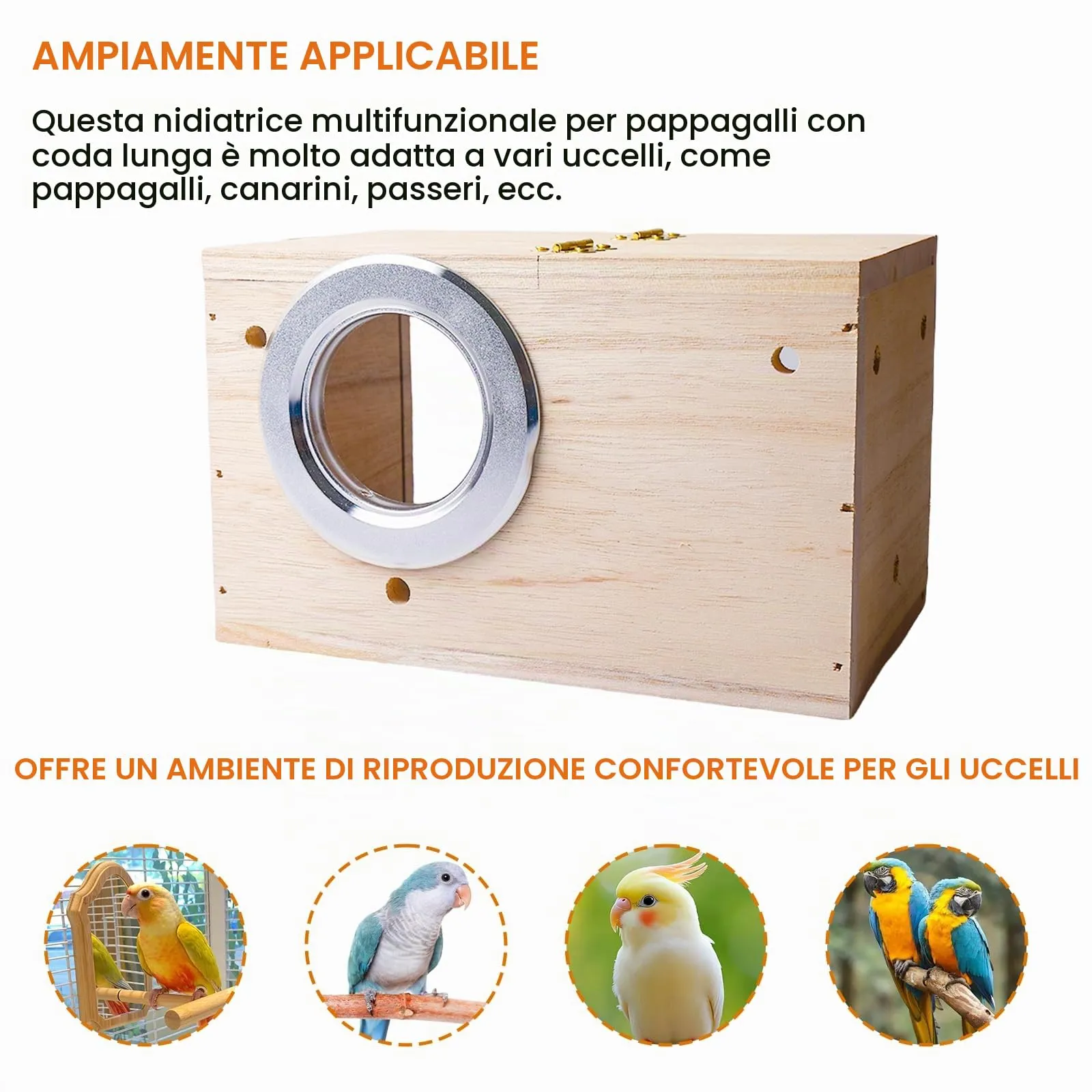 WIYETY Nido per pappagallini, design trasparente, per pappagallini, nido di legno per uccelli, incubatore per pappagalli, incubatore, per fringuelli, pappagallini, canarini, ecc. (12 x 12 x 19,5 cm) - immagine 4
