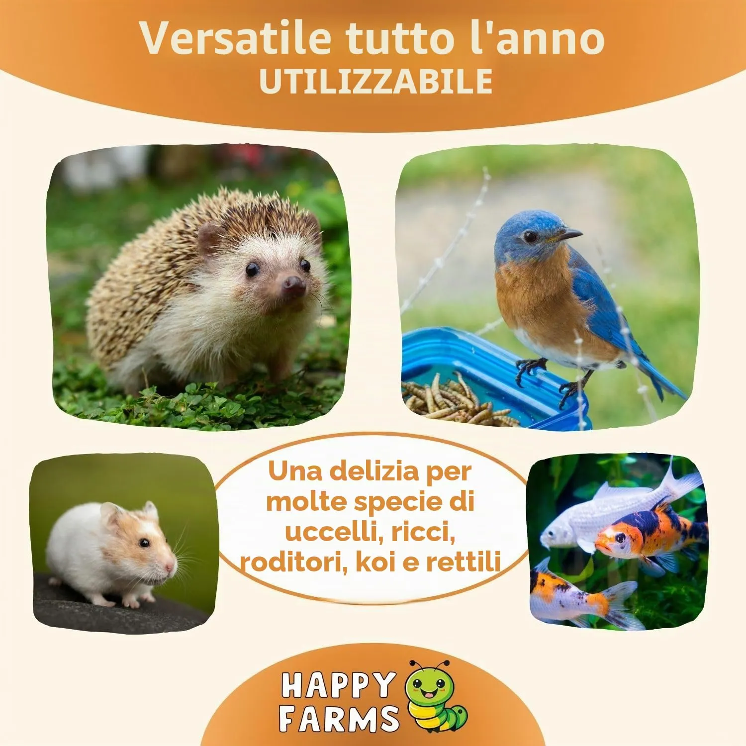 HappyFarms Vermi della farina essiccati – 1kg di cibo naturale ricco di proteine per uccelli selvatici, ricci e roditori - immagine 2