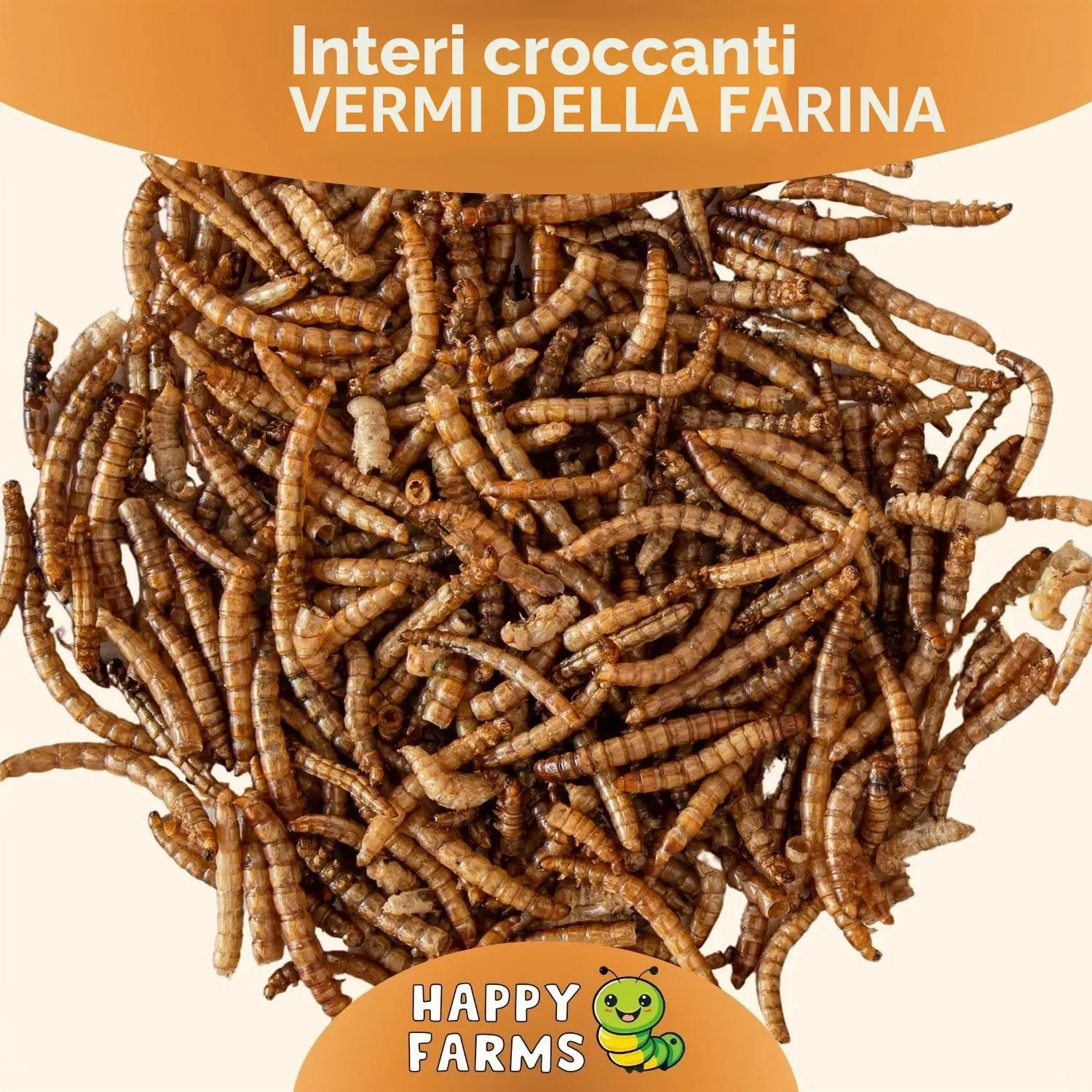 HappyFarms Vermi della farina essiccati – 1kg di cibo naturale ricco di proteine per uccelli selvatici, ricci e roditori - immagine 3
