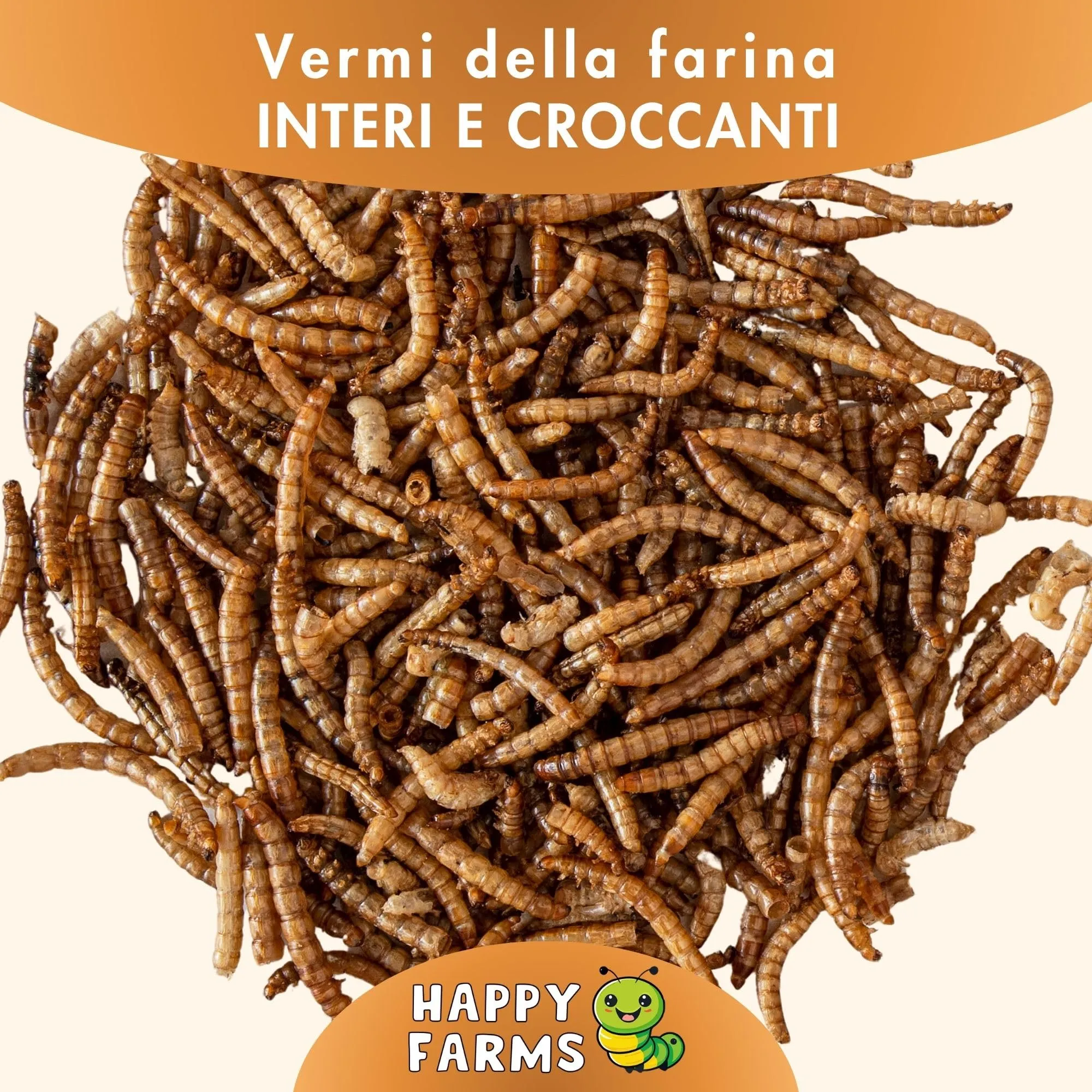HappyFarms Vermi della Farina Essiccati 5kg – Mangime Naturale per Galline, Uccelli e Ricci – Ricchi di Proteine - immagine 4