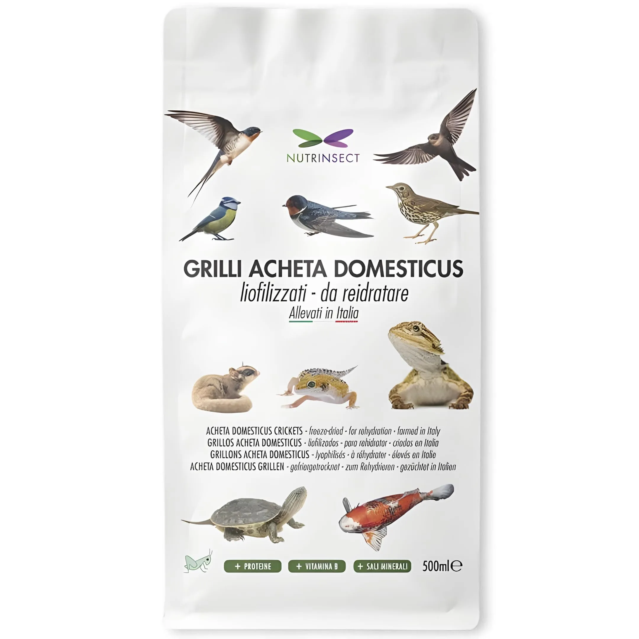 Nutrinsect - Grilli Liofilizzati - Mangime Naturale ideale per geco, camaleonte, tartarughe, pesci e uccelli insettivori come Rondini, Rondoni, Balestrucci, Pack da 500 ml - immagine 1