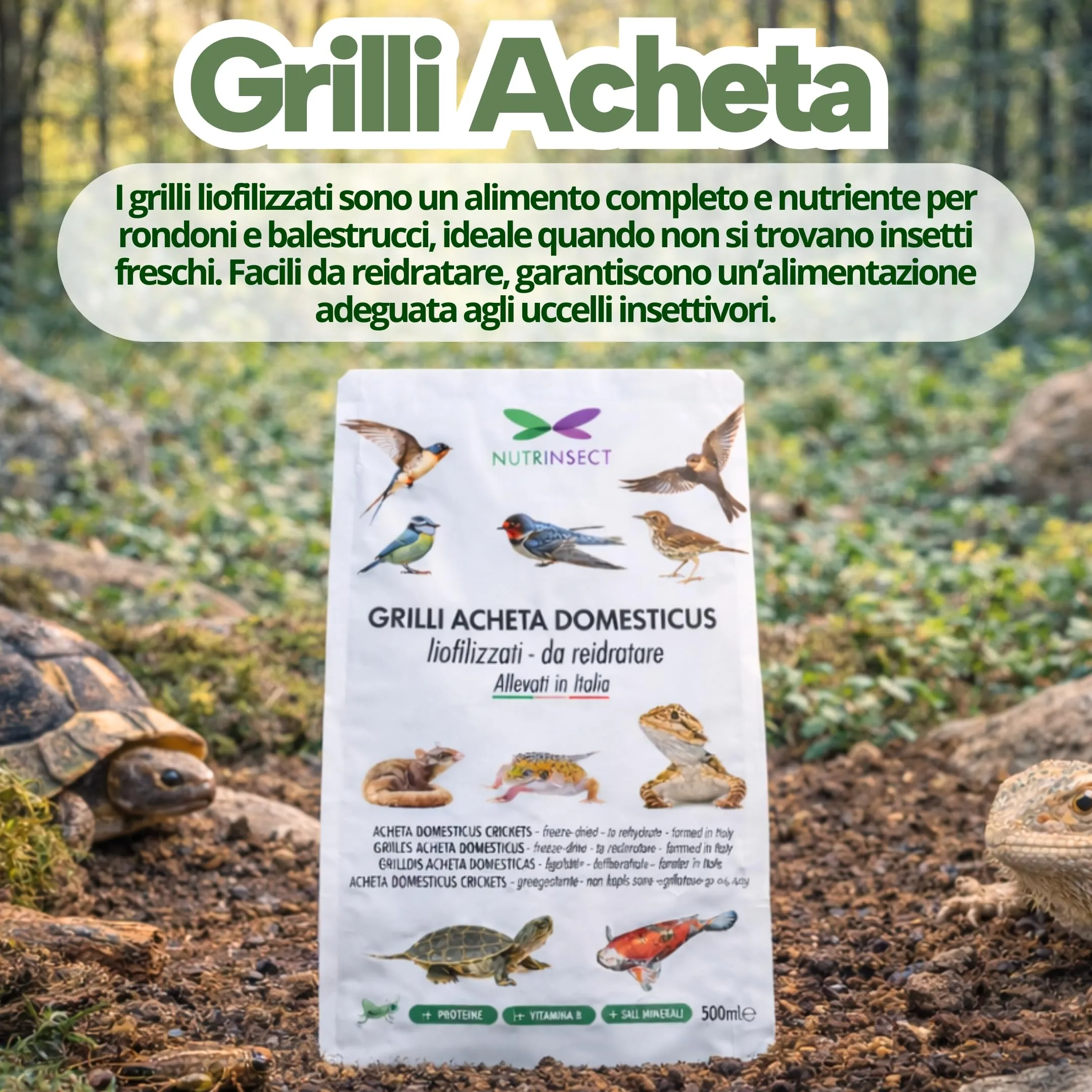 Nutrinsect - Grilli Liofilizzati - Mangime Naturale ideale per geco, camaleonte, tartarughe, pesci e uccelli insettivori come Rondini, Rondoni, Balestrucci, Pack da 500 ml - immagine 2