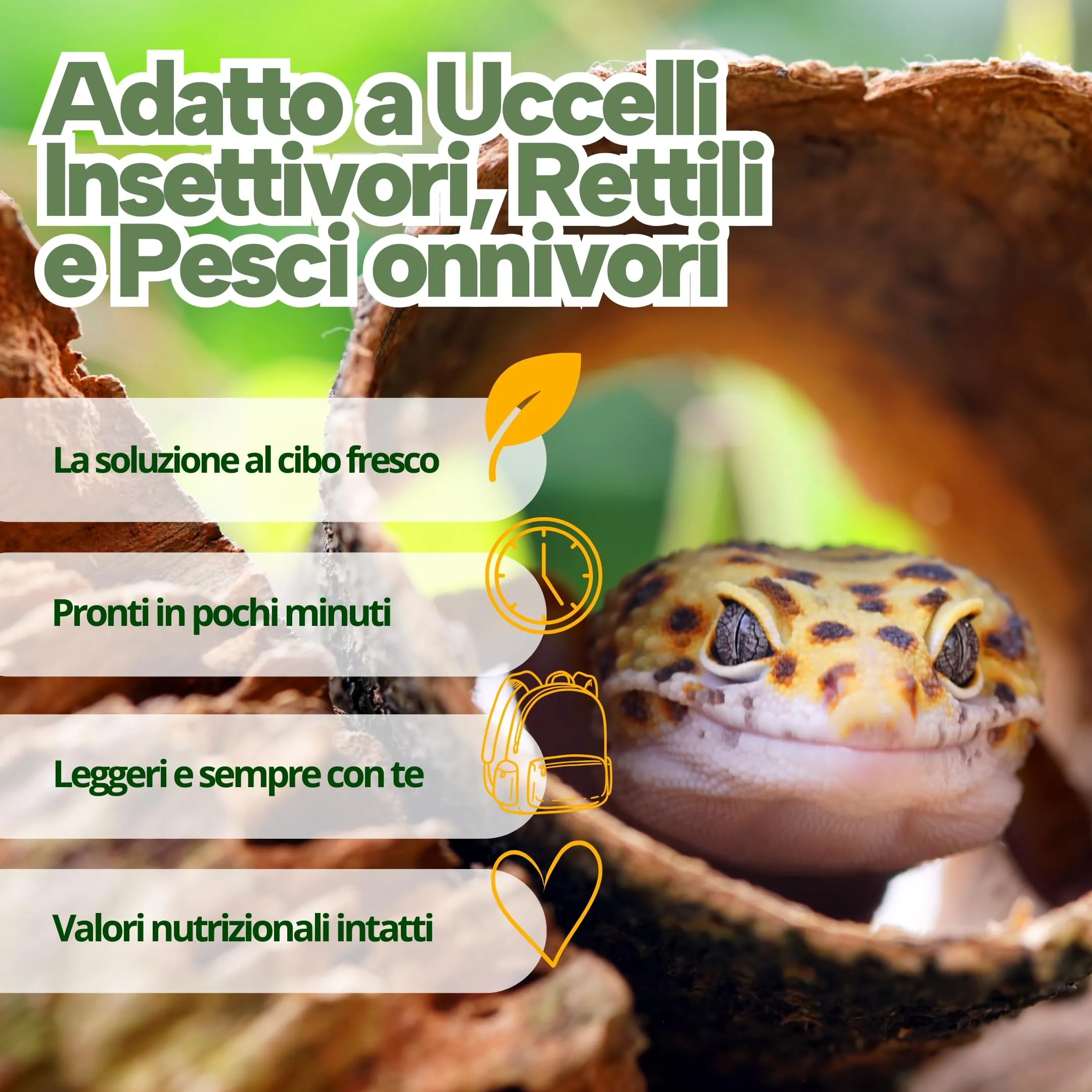 Nutrinsect - Grilli Liofilizzati - Mangime Naturale ideale per geco, camaleonte, tartarughe, pesci e uccelli insettivori come Rondini, Rondoni, Balestrucci, Pack da 500 ml - immagine 5