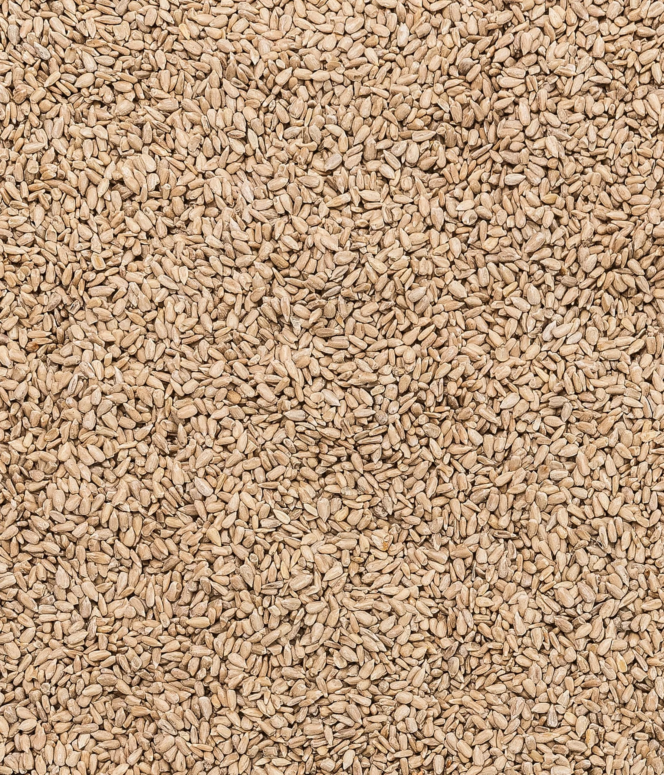 Dehner Natura Premium Mangime per Uccelli Selvatici, Semi di Girasole sbucciati, 10 kg - immagine 4