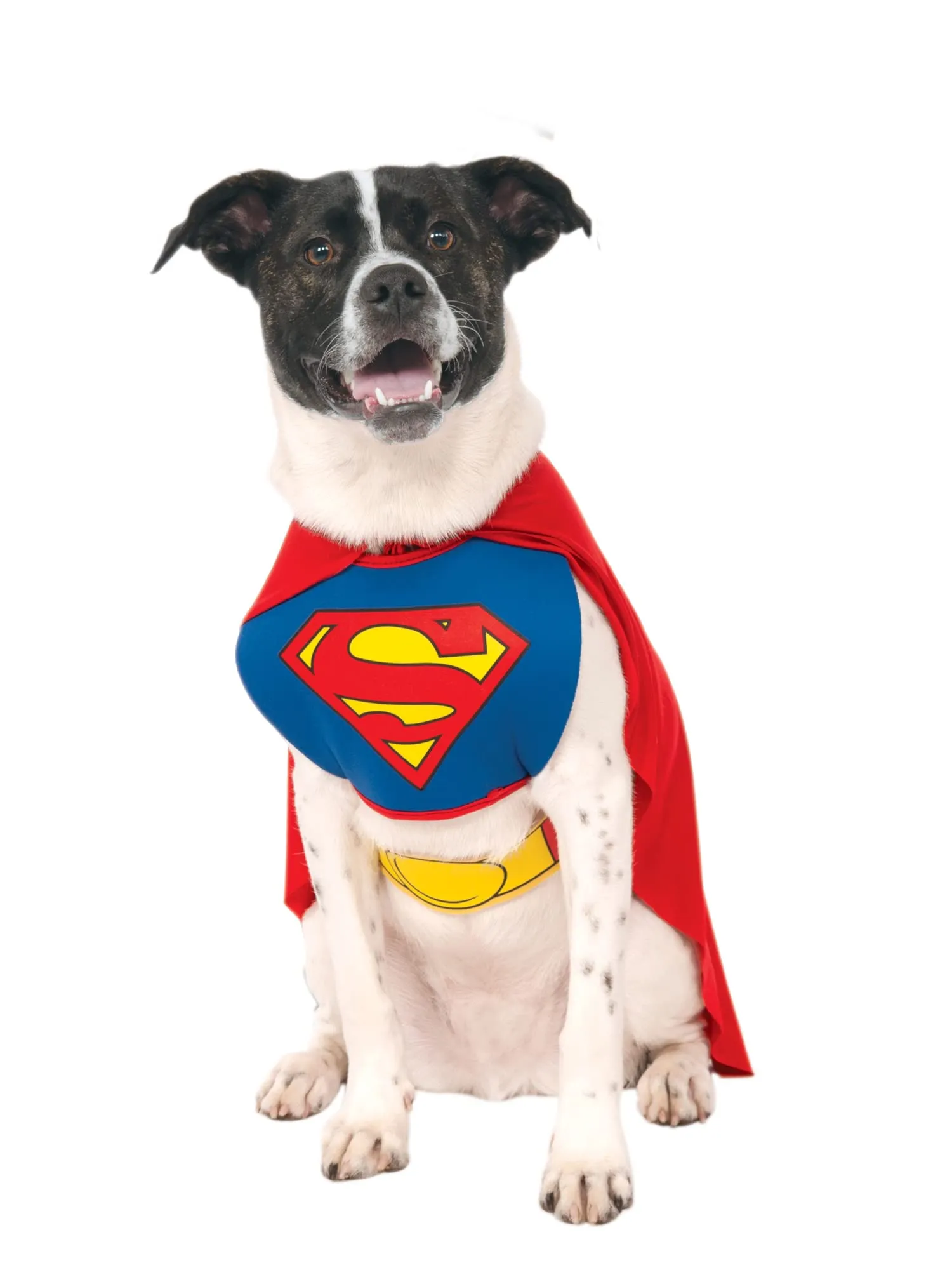 Rubie's IT887892-XL Costume cani Superman - immagine 5