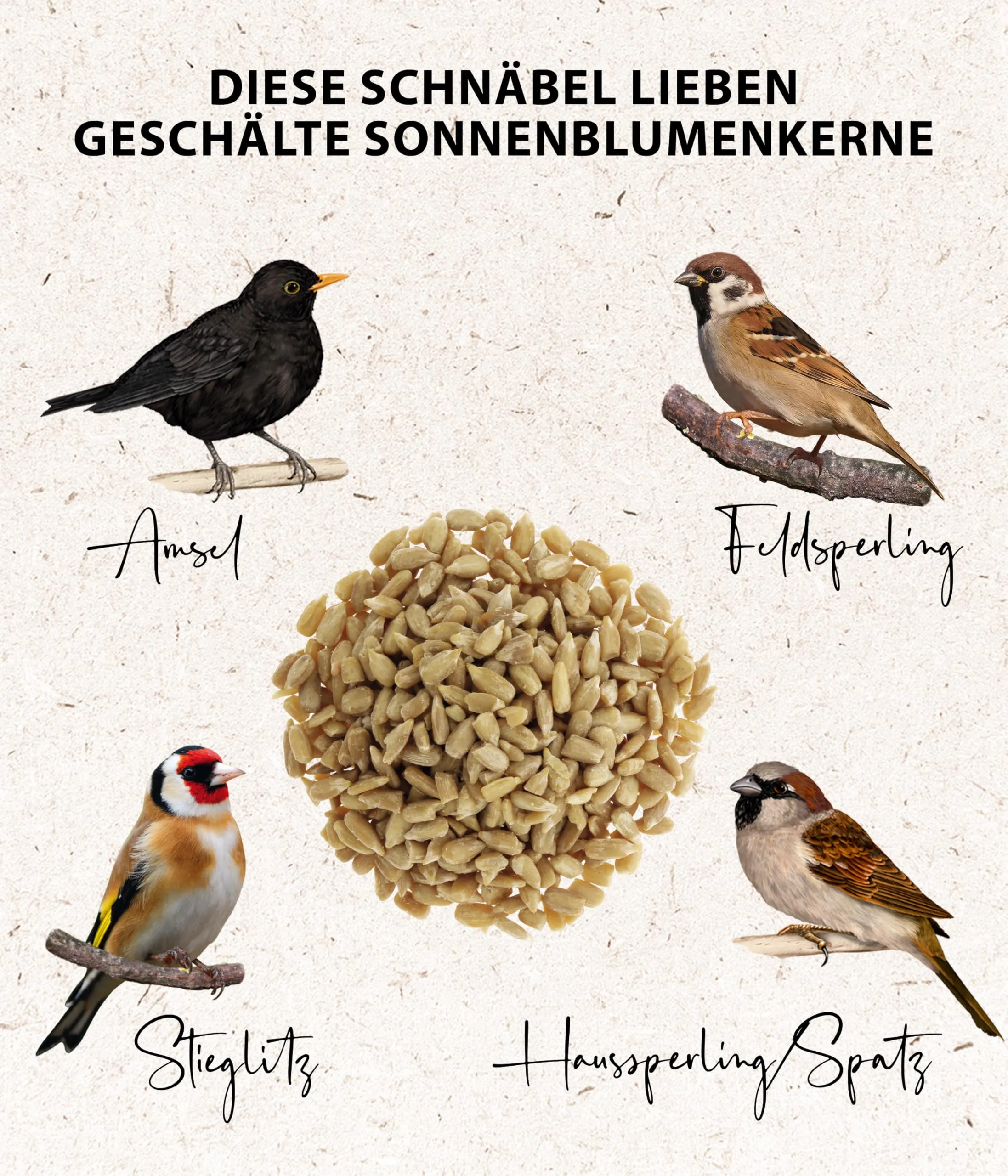 Dehner Natura Premium mangime per Uccelli, Semi di Girasole Non decorticati, Mangime integrativo per Alimentazione Tutto L'Anno, Cibi Grassi per cinciallegre, fringuelli e passeri, 5 kg - immagine 3
