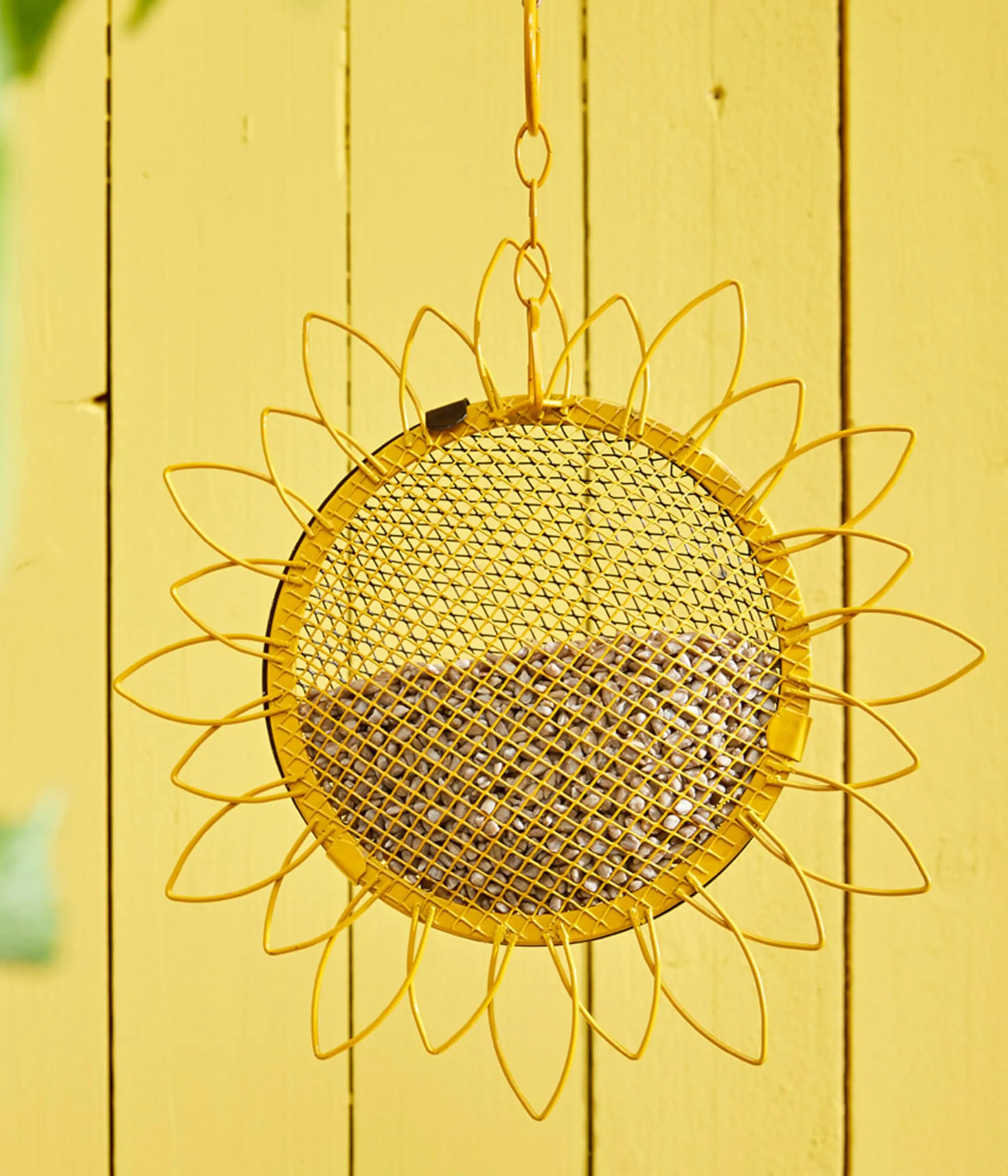 Dehner Natura Premium mangime per Uccelli, Semi di Girasole Non decorticati, Mangime integrativo per Alimentazione Tutto L'Anno, Cibi Grassi per cinciallegre, fringuelli e passeri, 5 kg - immagine 7