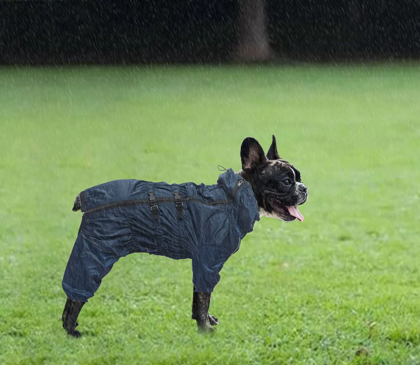 Geyecete - 1/2 zampe pantaloni tuta impermeabile per cani, 4 gambe riflettente pioggia impermeabile Gear per cani, Con cerniera e fibbia, per cuccioli piccolo e medio-Scuro Blu -XXL - immagine 4