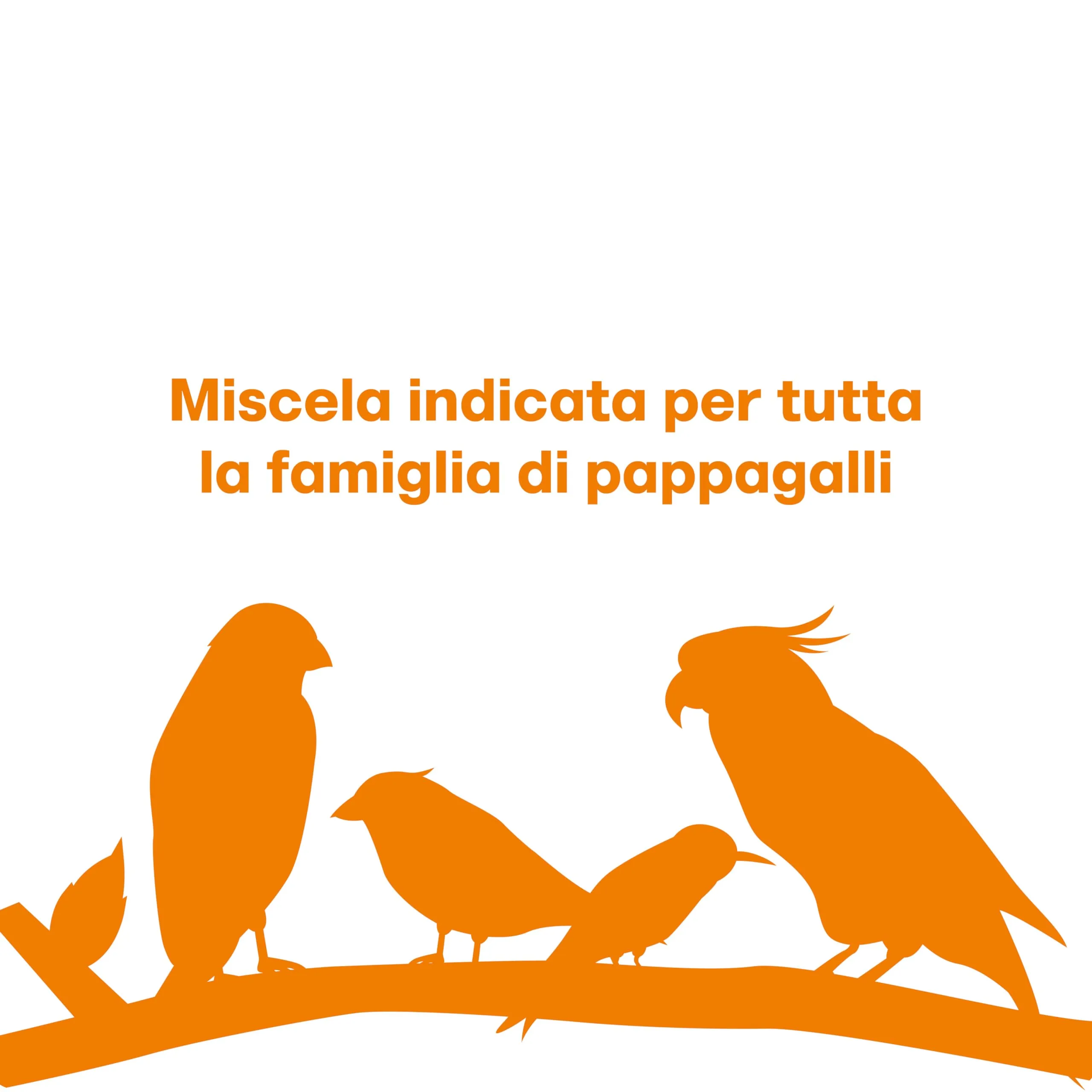 Il Contadino - Antichi Becchimi | MISCUGLIO per PAPPAGALLI Grandi | Formula Ricca di Semi Selezionati Adatta per Tutto L'Anno, No OGM, 100% Vegetale, Assenza di scarti. qualità Superiore (5 kg) - immagine 5