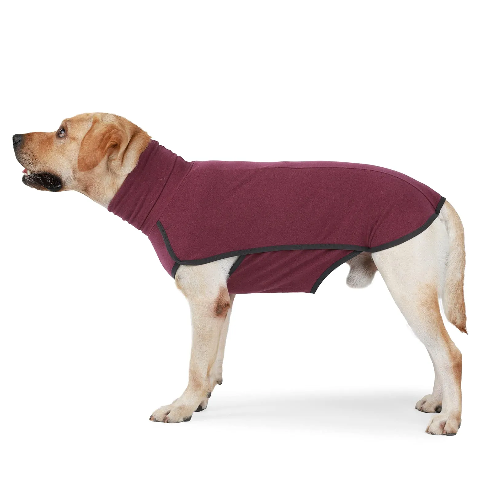 HEYWEAN Felpa per cani Gilet in pile elasticizzato Pullover per cani caldi Pullover per cani di piccola e media taglia Abbigliamento invernale per interni ed esterni - immagine 7