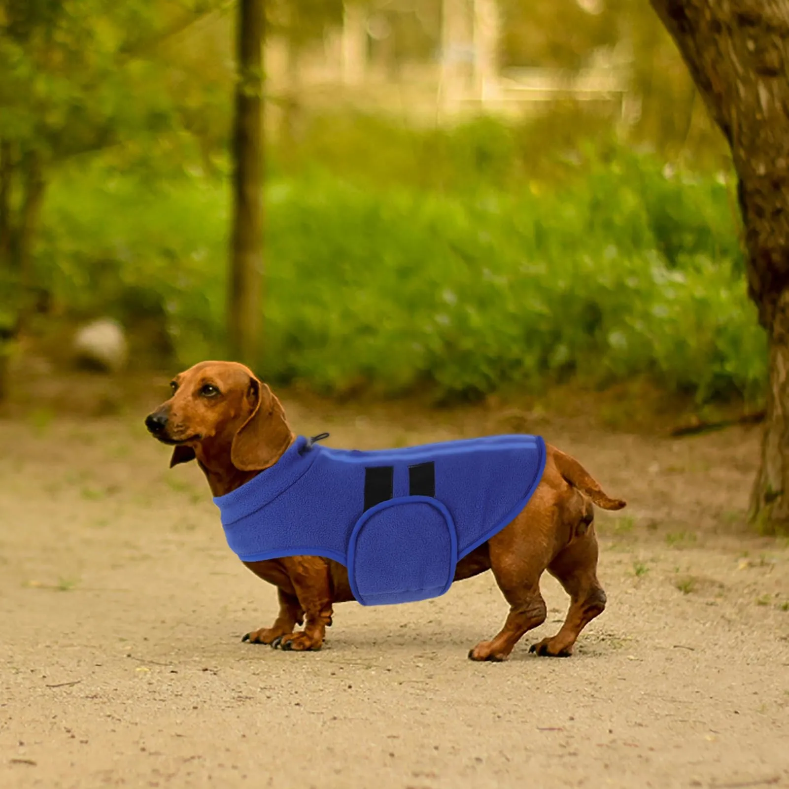 Queenmore Giacca Per Cani In Morbido Pile Caldi Cappotti Invernali Con Foro - immagine 8
