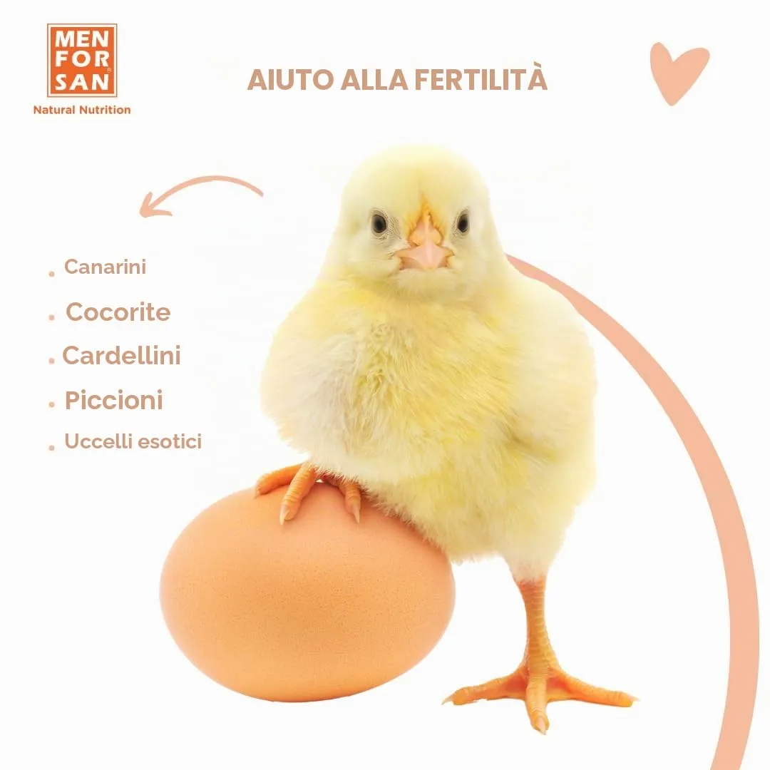 MENFORSAN Mangime complementare per uccelli da riproduzione | per la promozione della fertilità | 30 ml - immagine 3