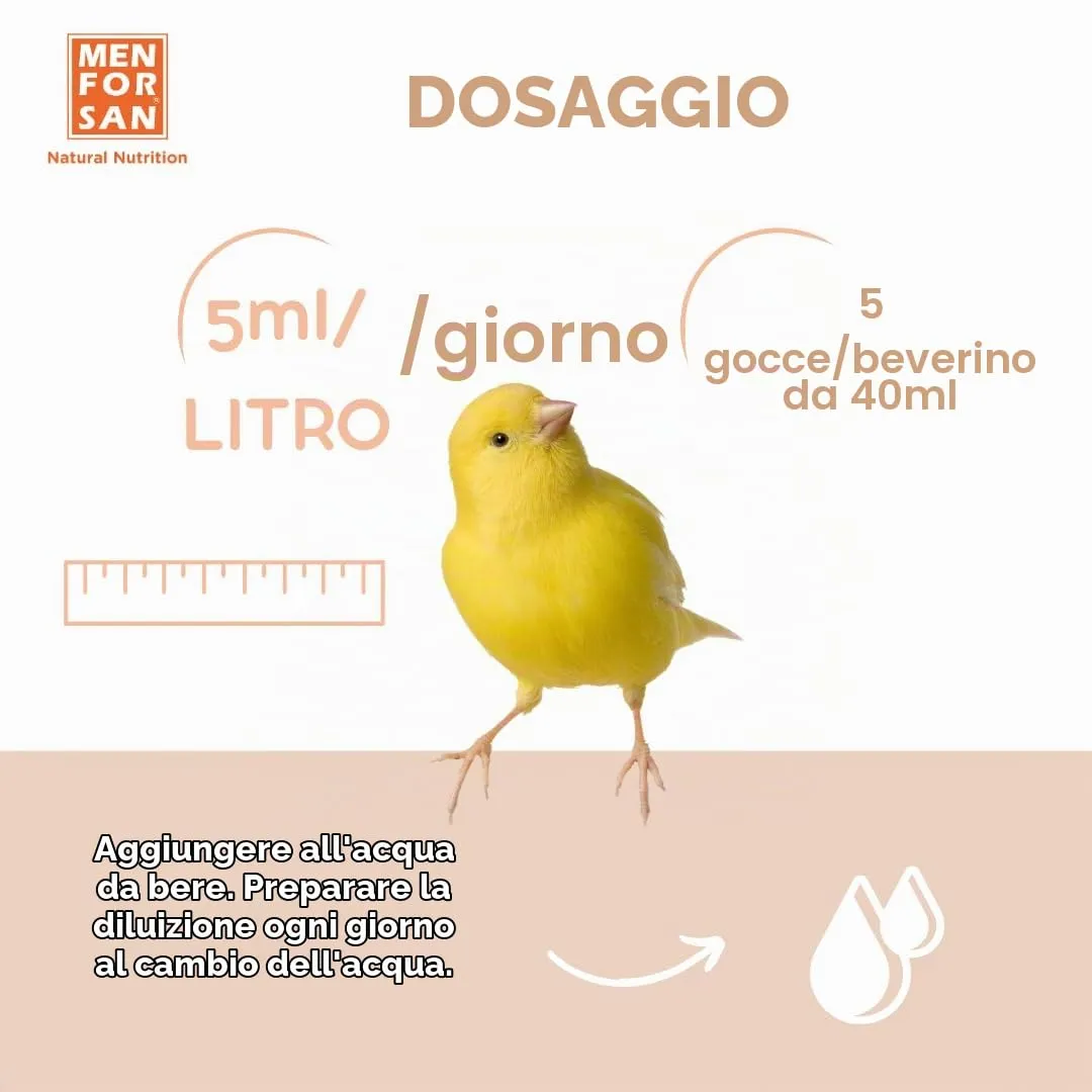 MENFORSAN Mangime complementare per uccelli da riproduzione | per stimolare il canto e il trillo | 30 ml - immagine 4