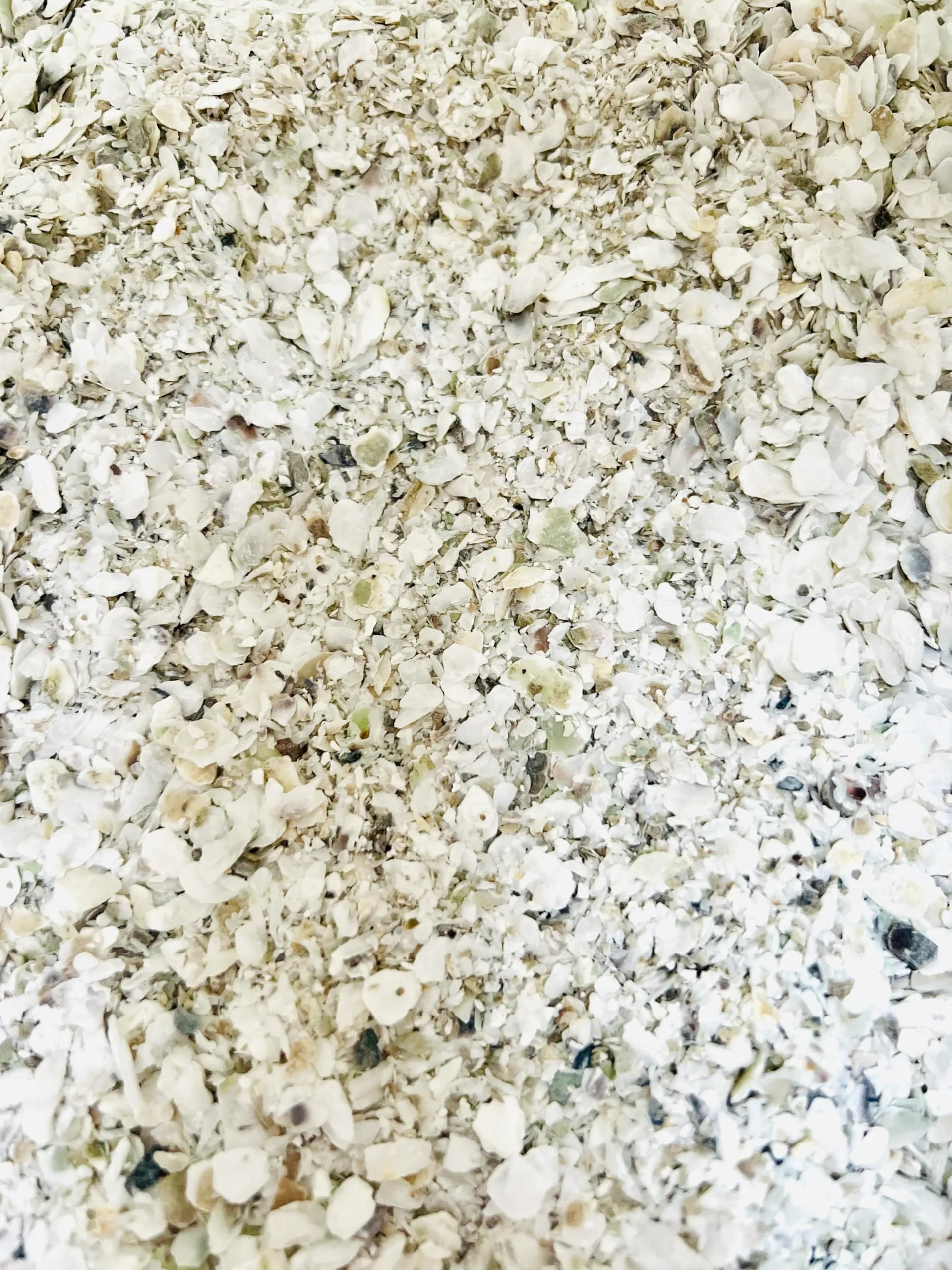 Scaglie Di Conchiglia Di Ostra - Mangime Minerale Per Pollame - Fonte Di Calcio Naturale - Galline, Quaglie, Faraone - Prodotto E Confezionato In Francia (900g) - immagine 3