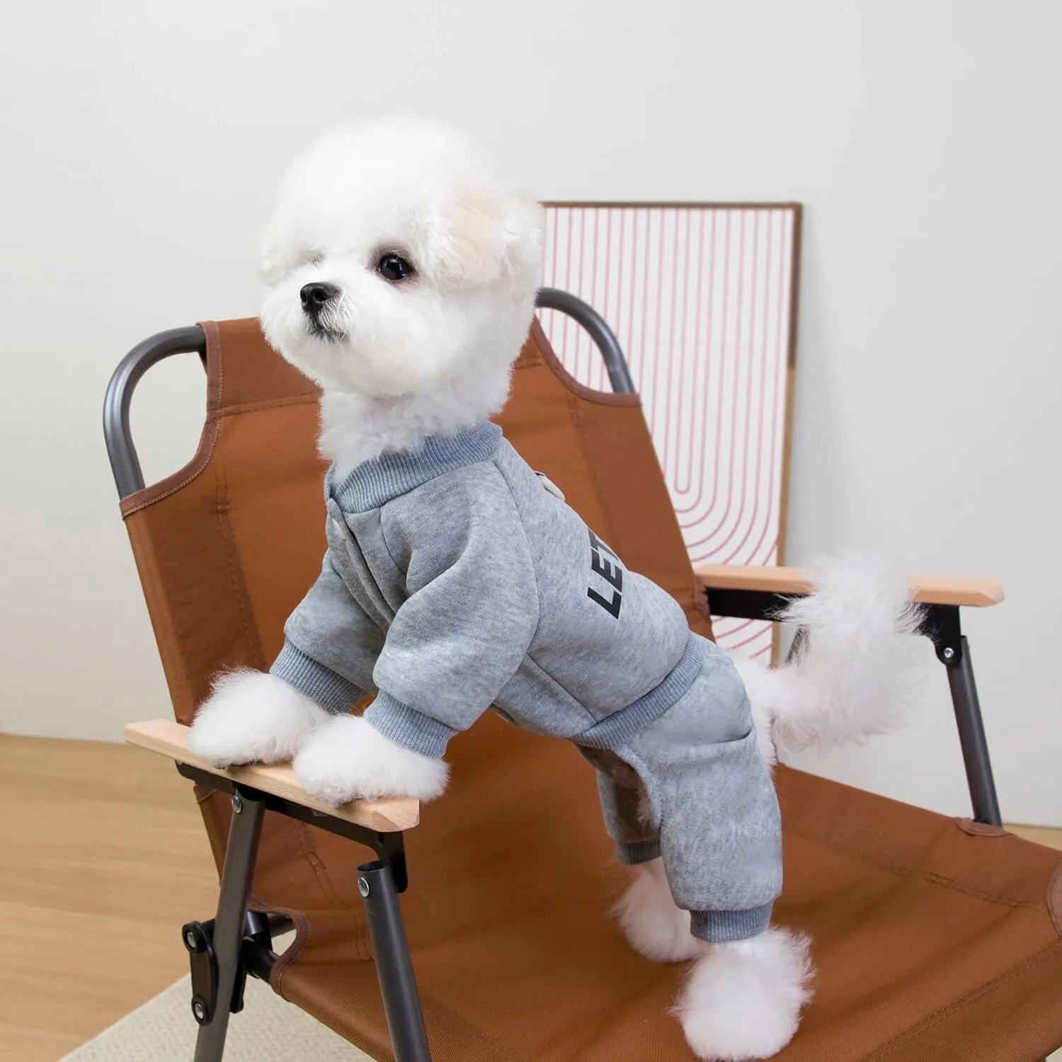 Izefia Felpa per Cani Felpe con Cappuccio Abbigliamento Let's Go Tuta a 4 Gambe Pile Maglione Senza Cappuccio Felpa Girocollo in Cotone Caldo Invernale per Cani di Piccola Taglia Gatto Medio - immagine 3