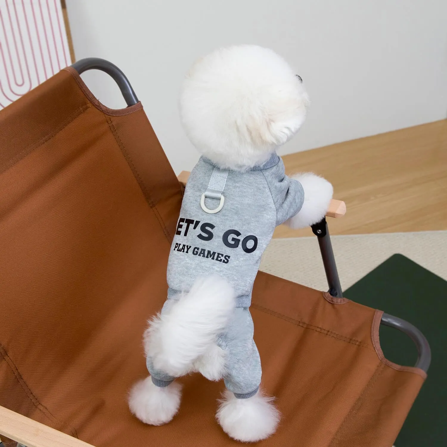 Izefia Felpa per Cani Felpe con Cappuccio Abbigliamento Let's Go Tuta a 4 Gambe Pile Maglione Senza Cappuccio Felpa Girocollo in Cotone Caldo Invernale per Cani di Piccola Taglia Gatto Medio - immagine 4