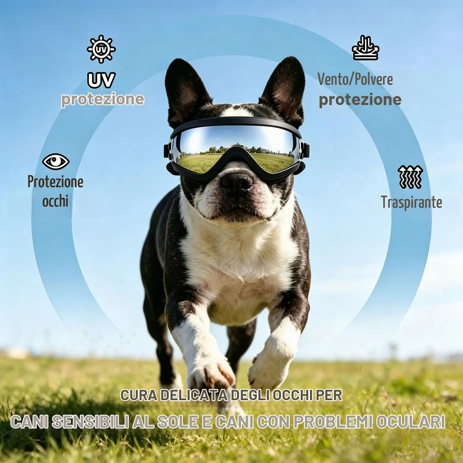 PETLESO Occhiali da moto per cani di taglia media, anti-UV, antivento, con fascia elastica regolabile, occhiali da sole per cani di taglia media, argento, M - immagine 4