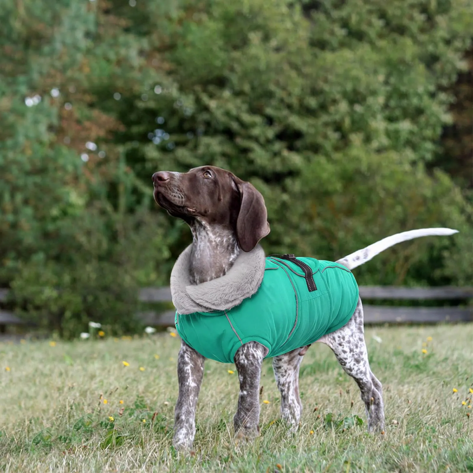 Cappotto per cani di taglia media - Cappotto impermeabile per cani - Giacca invernale e mantello invernale per cani - Cappotto caldo in pile (turchese, M) - immagine 6