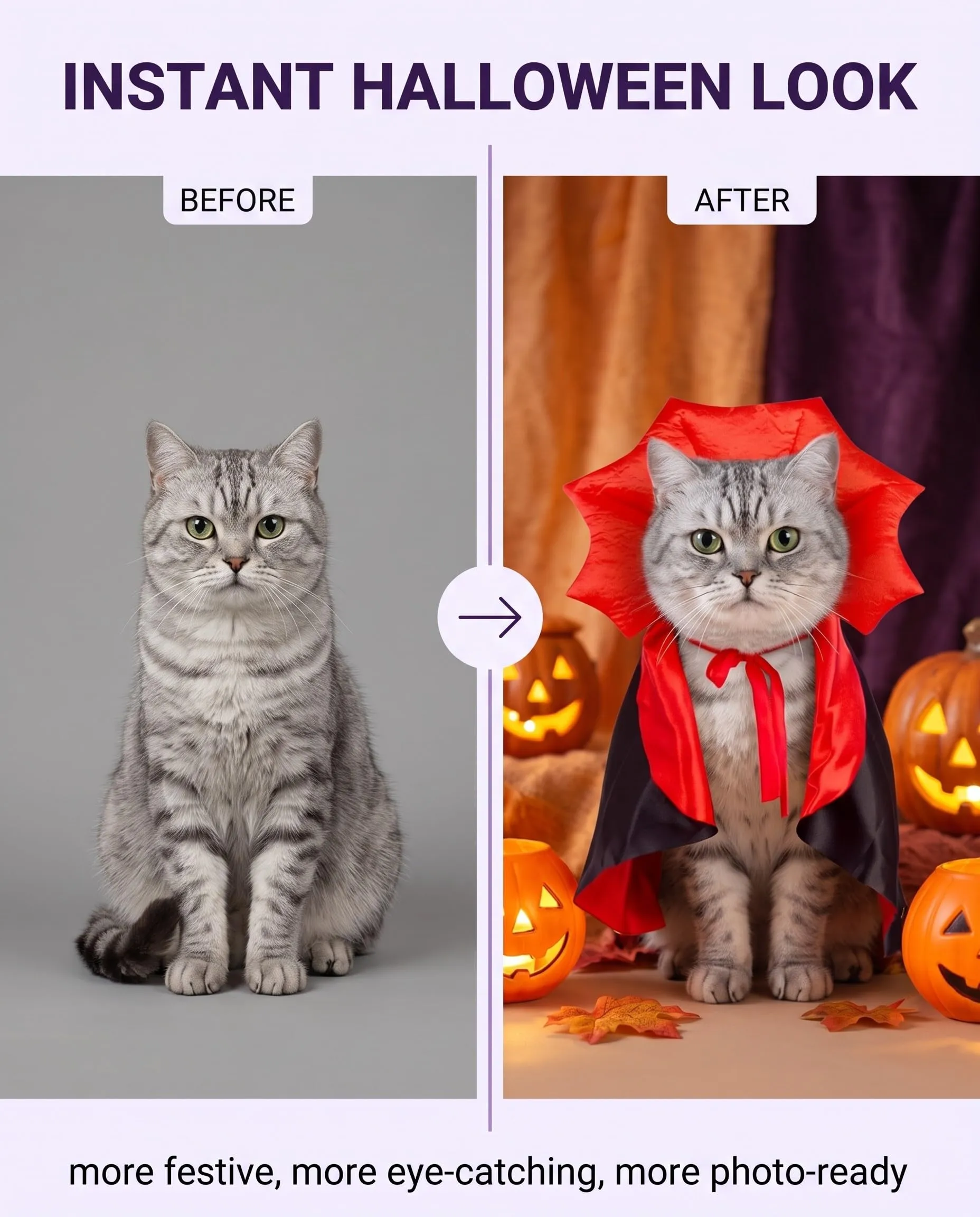 UXEWKL Costume Halloween per Gatto, 1 pz Mantello Leggero per Cani e Gatti, Vestiti Animali Domestici Traspiranti, Taglio Anatomico Confortevole per Feste e Foto Cosplay - immagine 4
