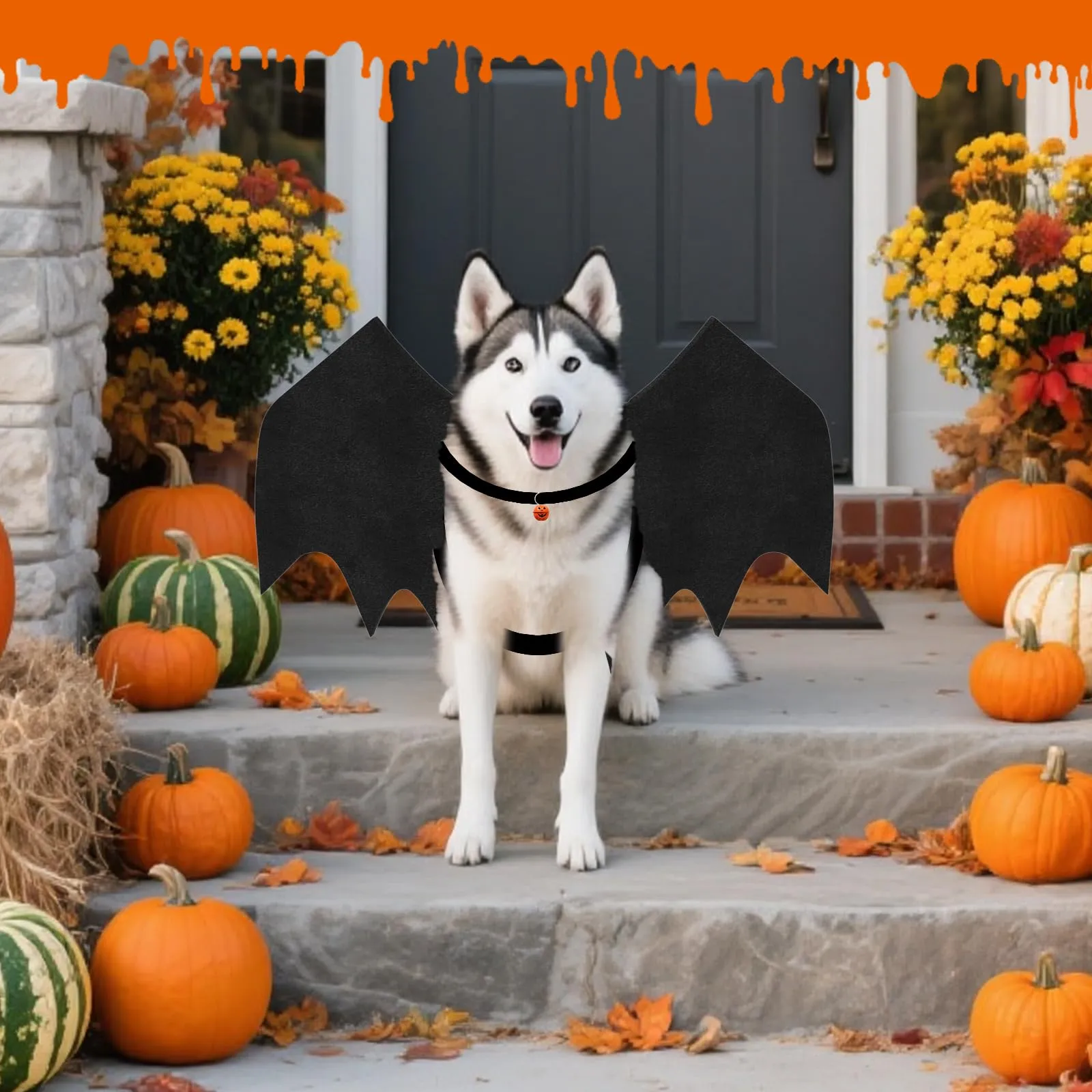 OLANRUN Costumi di Halloween per cani di taglia grande, ali di pipistrello regolabili per cani di taglia grande costume con campana di zucca, stampa scheletro sul retro, costume per animali domestici - immagine 7